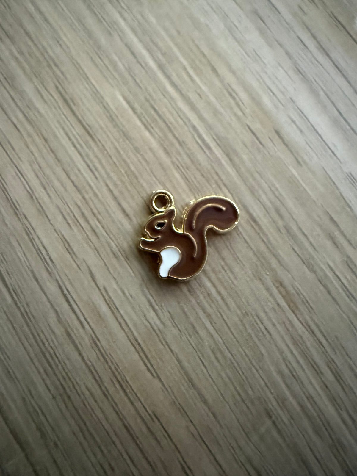 Squirrel Charm