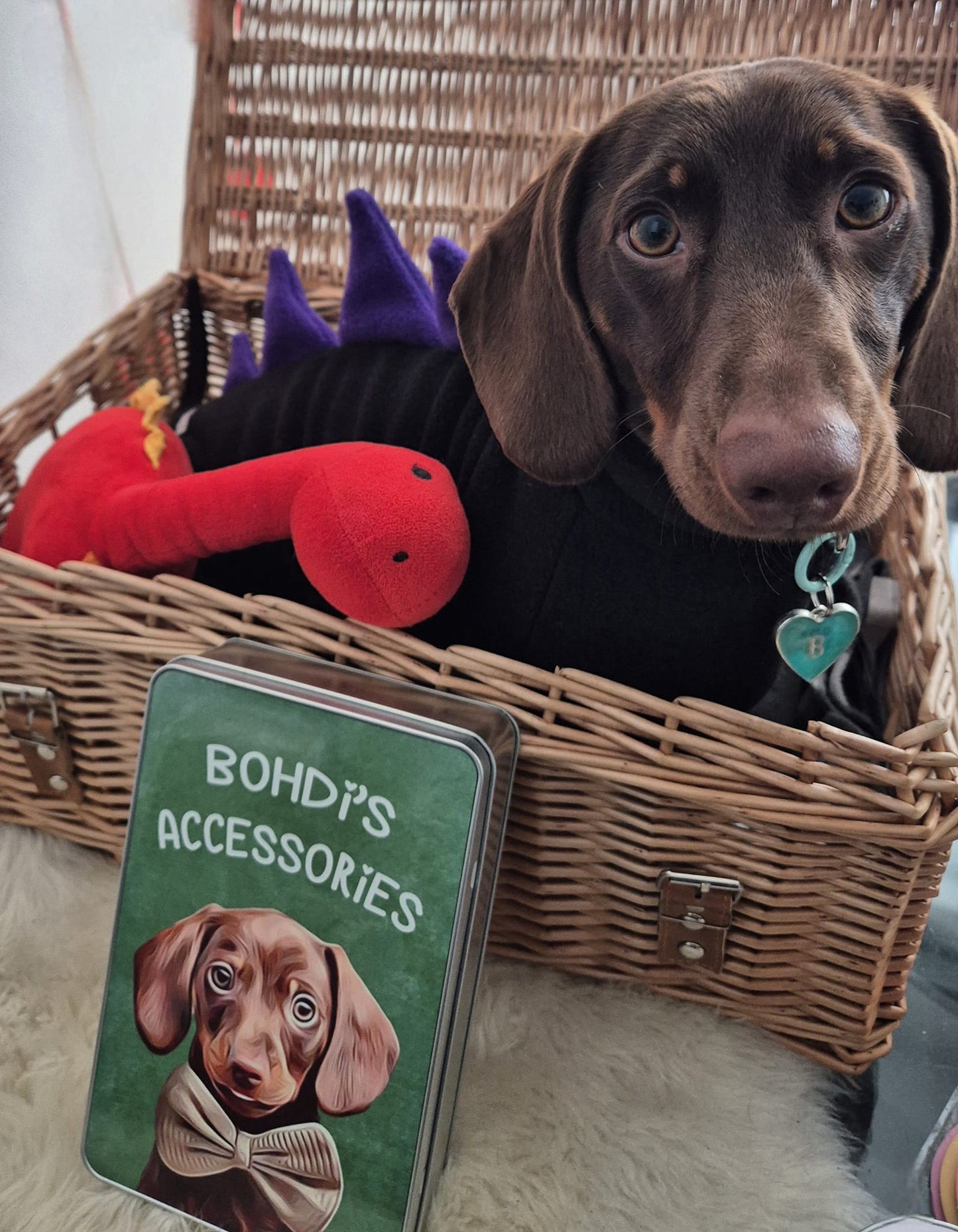 Treat Tin - Rectangle