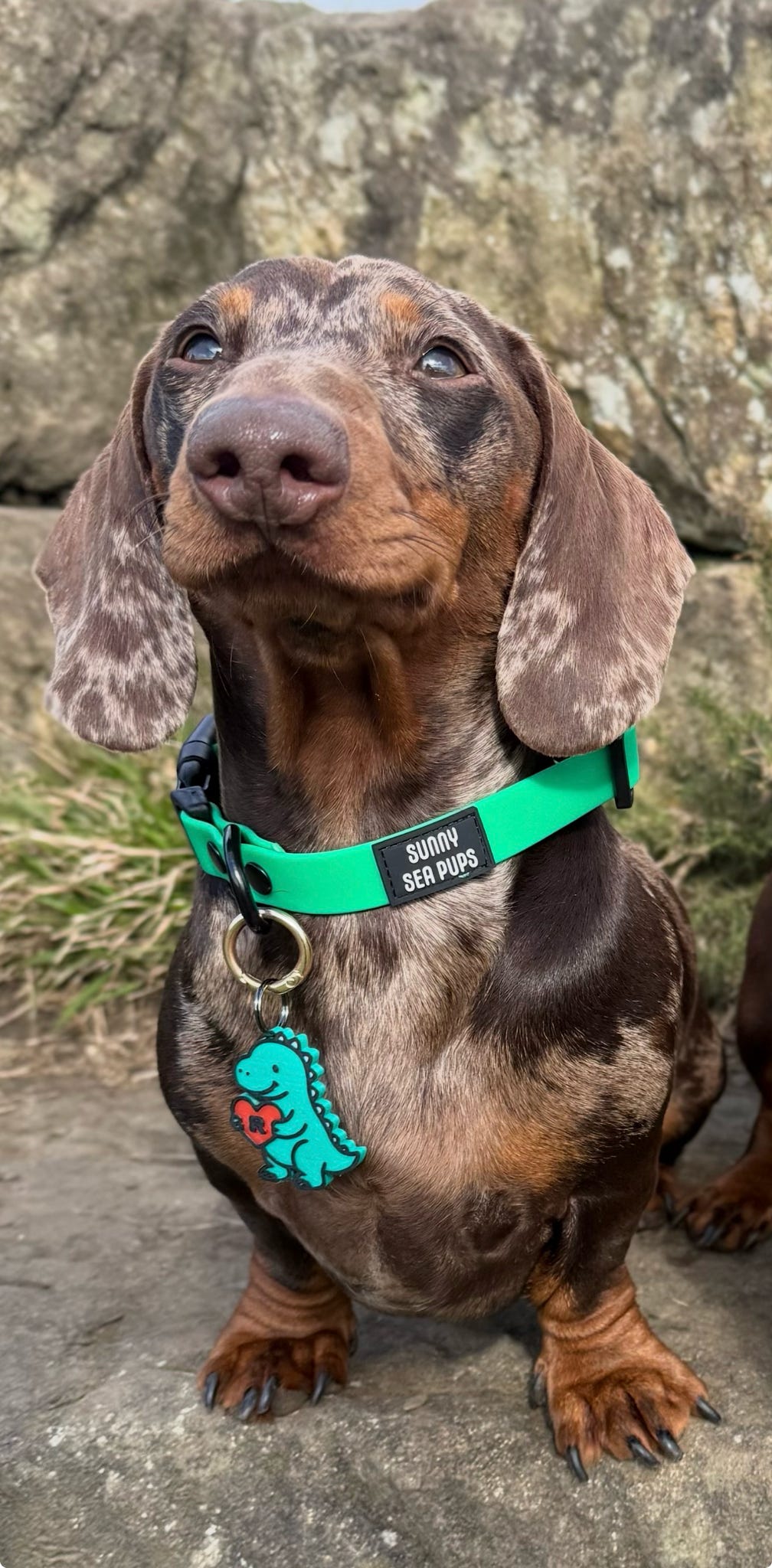 Dino-Roar