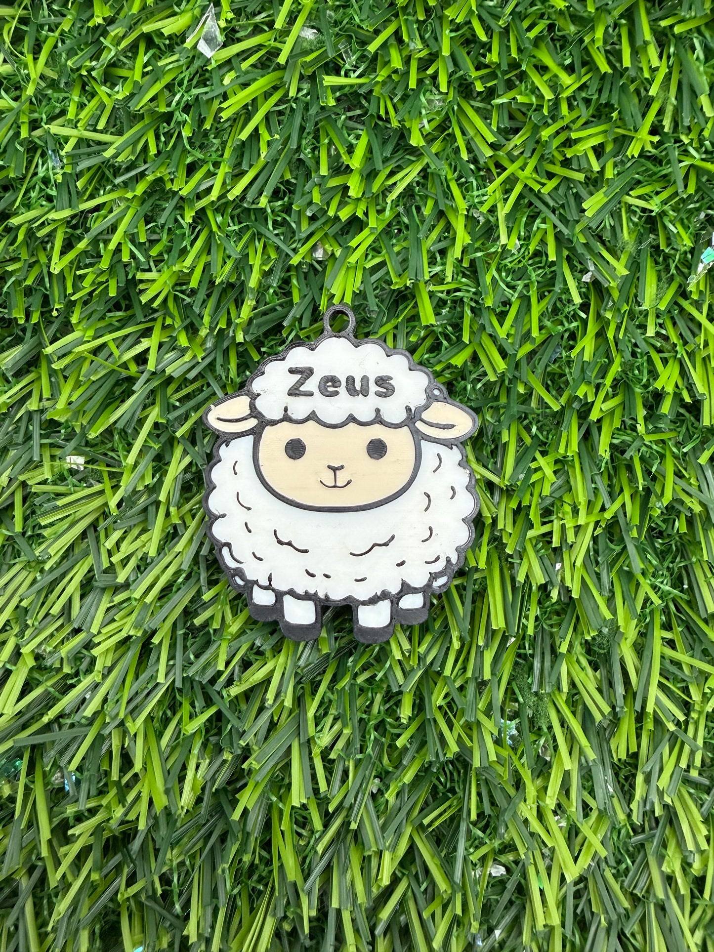 Woolly Wonder