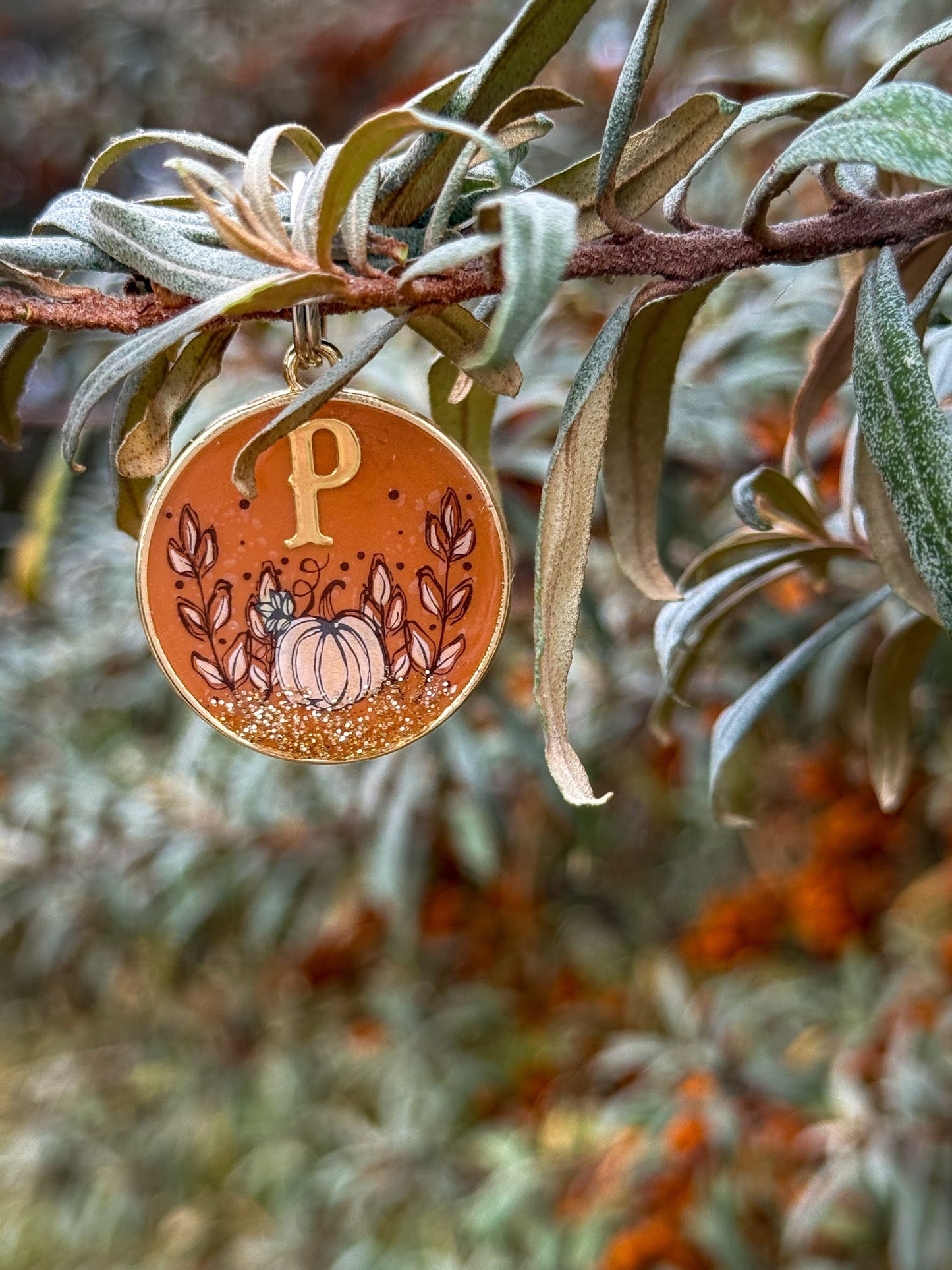 Pumpkin Patch