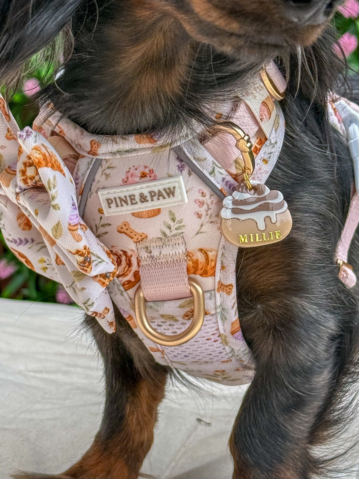 Cinnamon Swirl