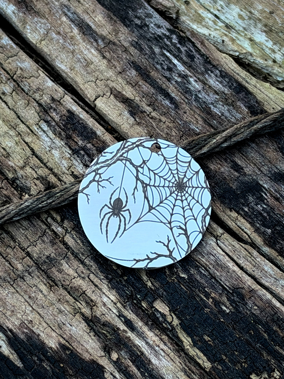 Spiders Hollow