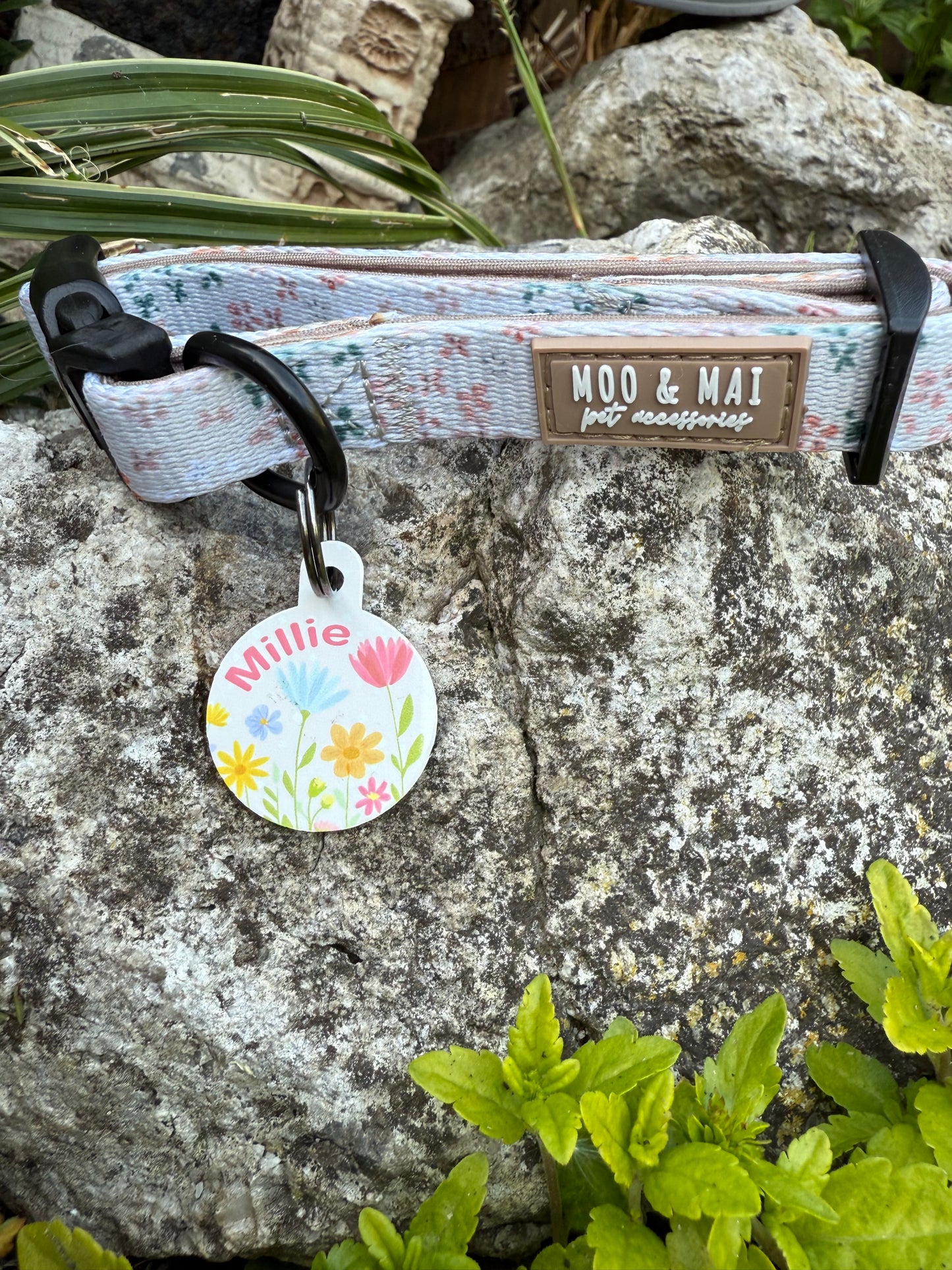 Wildflower Wonderings