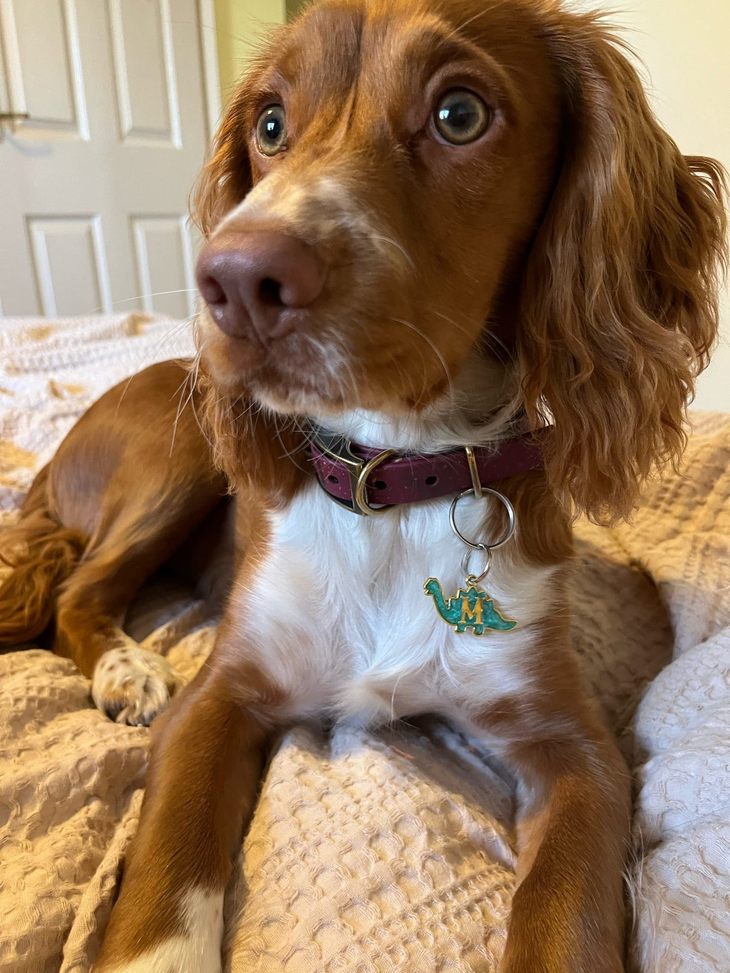 Resin stegosaurus tag