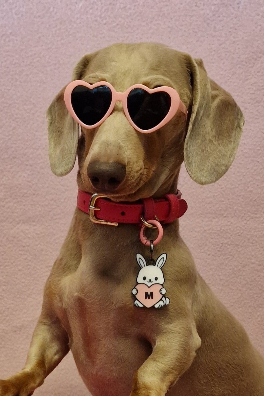 Heart Hopper