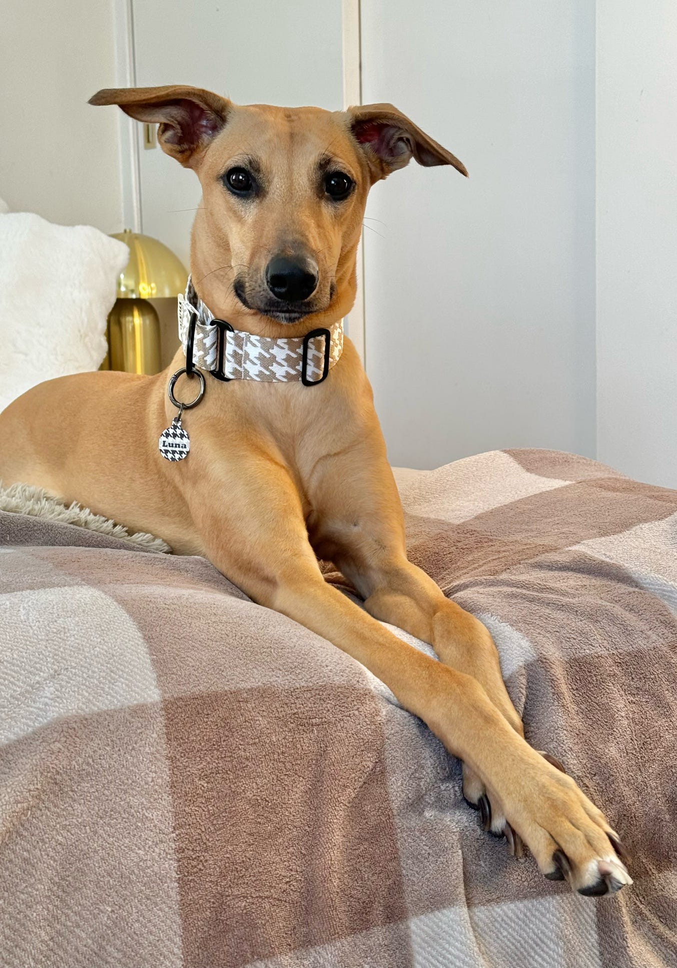 Black houndstooth - tag