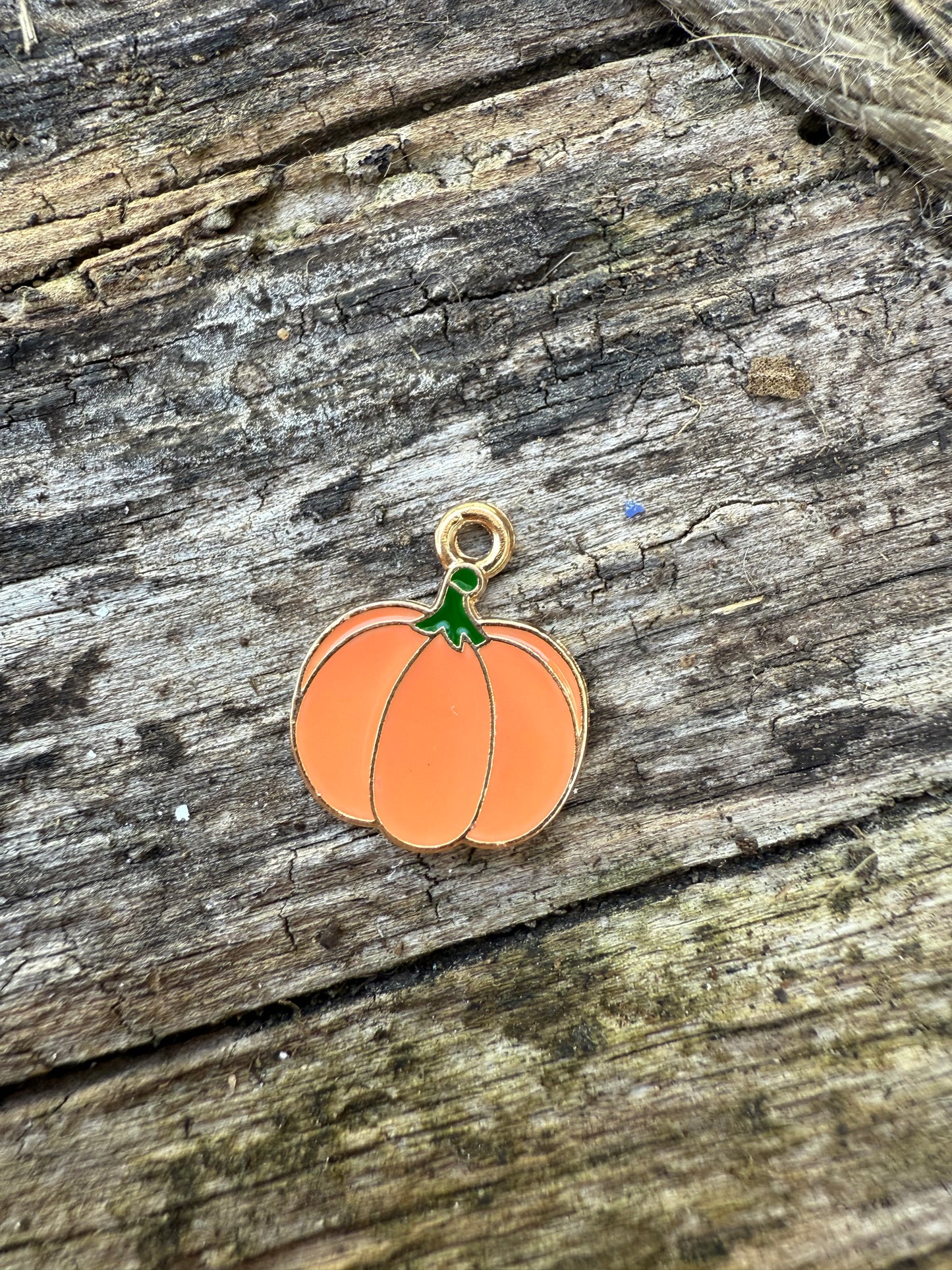 Pumpkin Charm