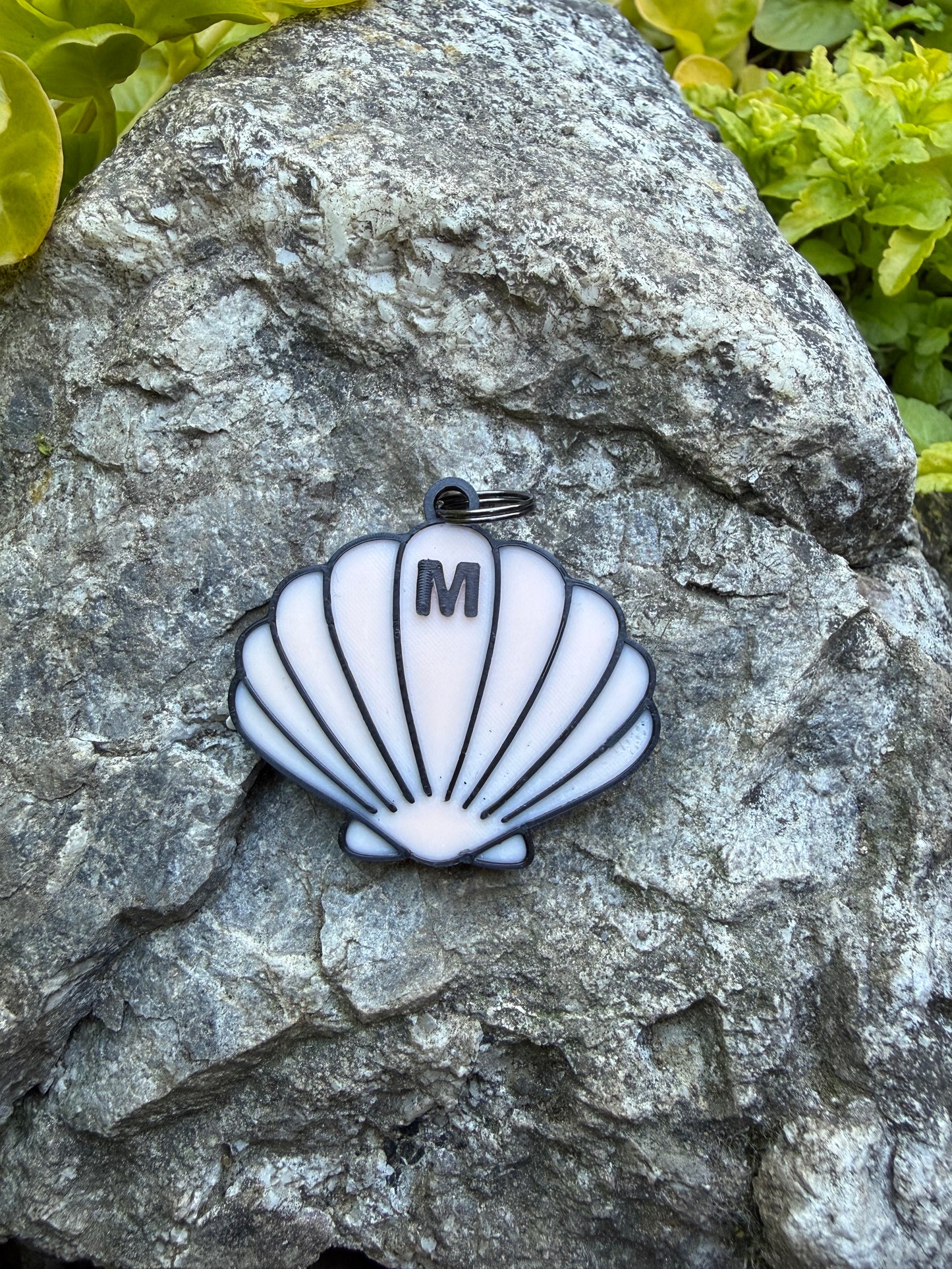 Seashell