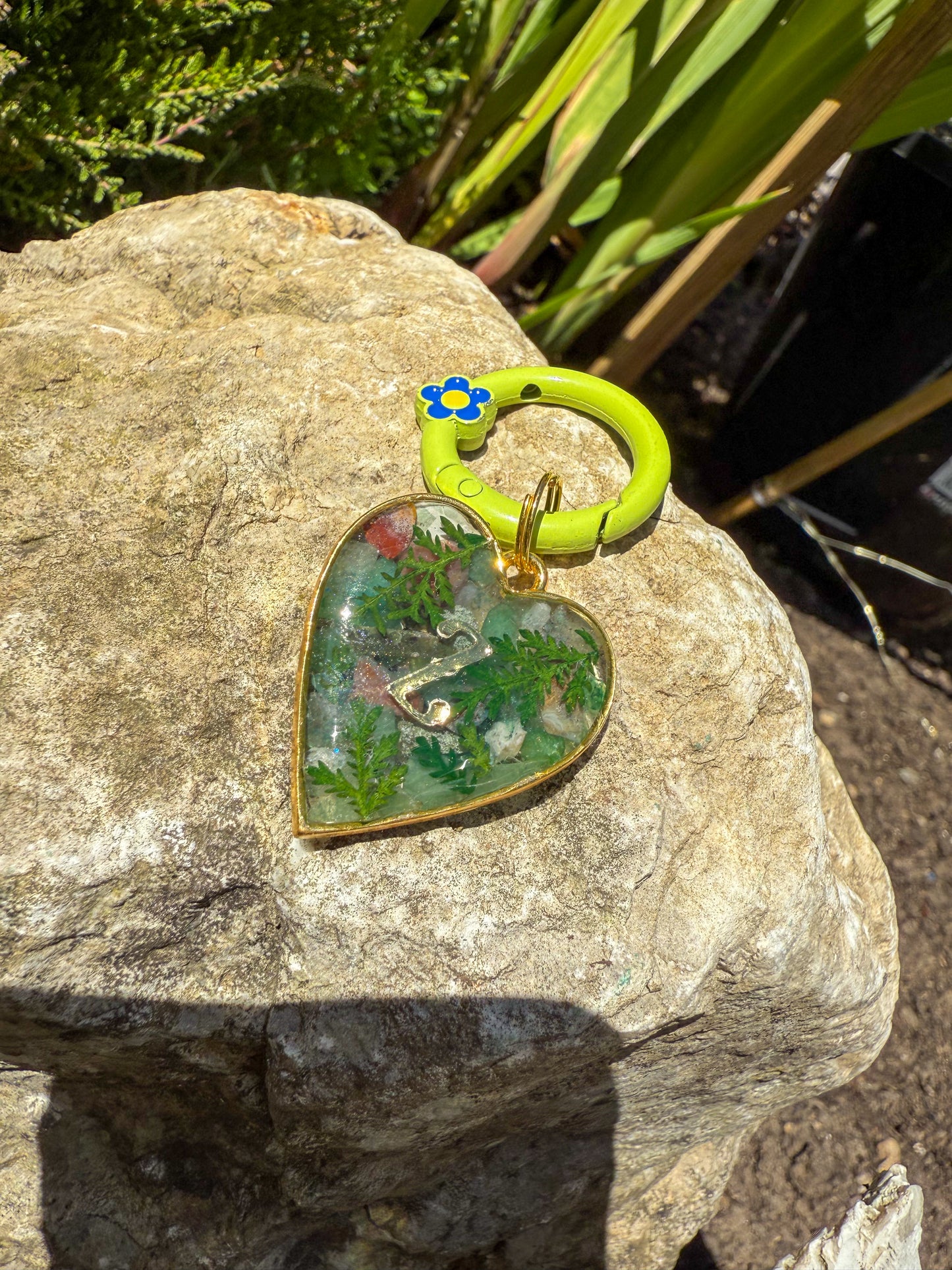 Hearts Of The Forest