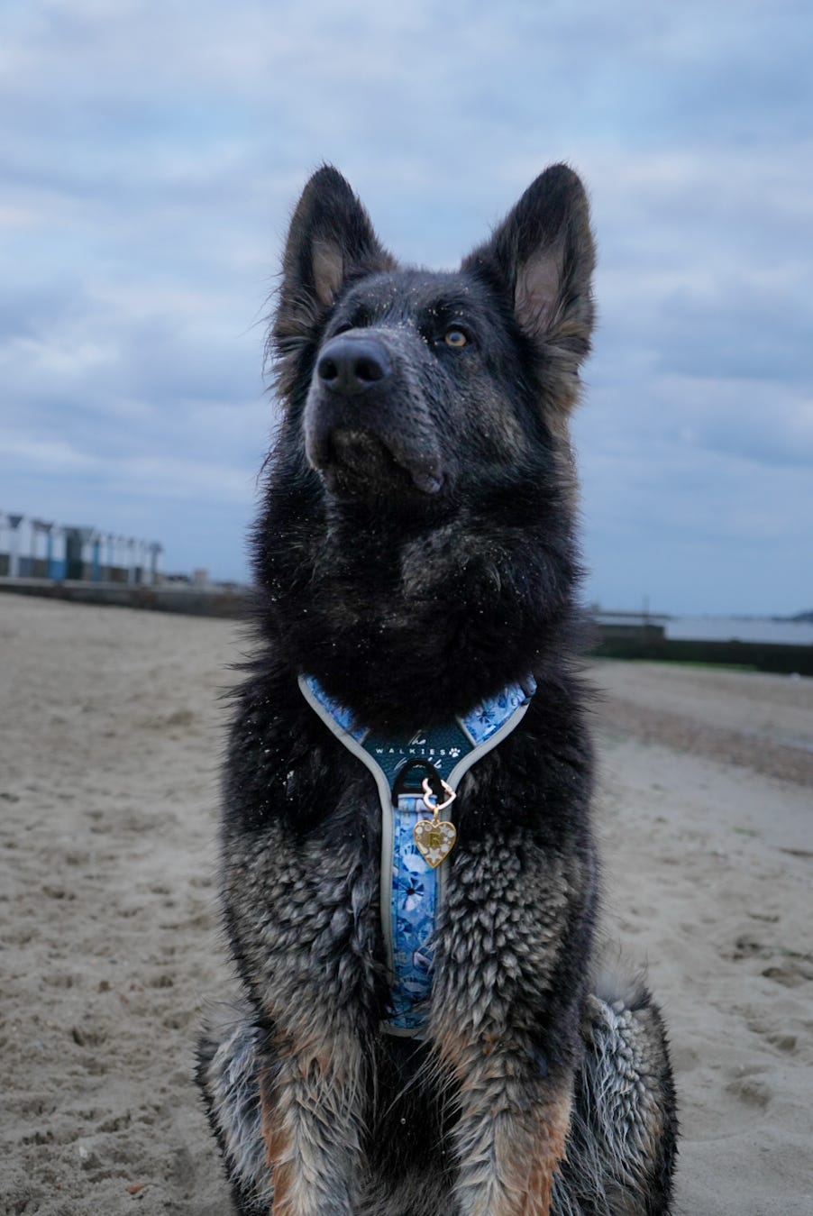 Beach Kiss