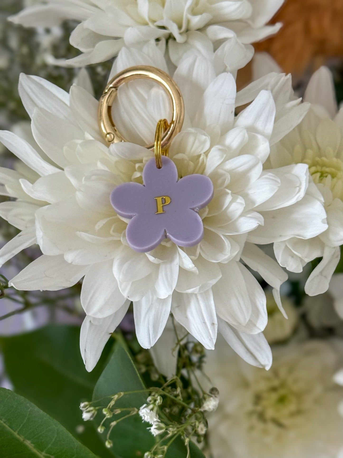 Dainty Daisy