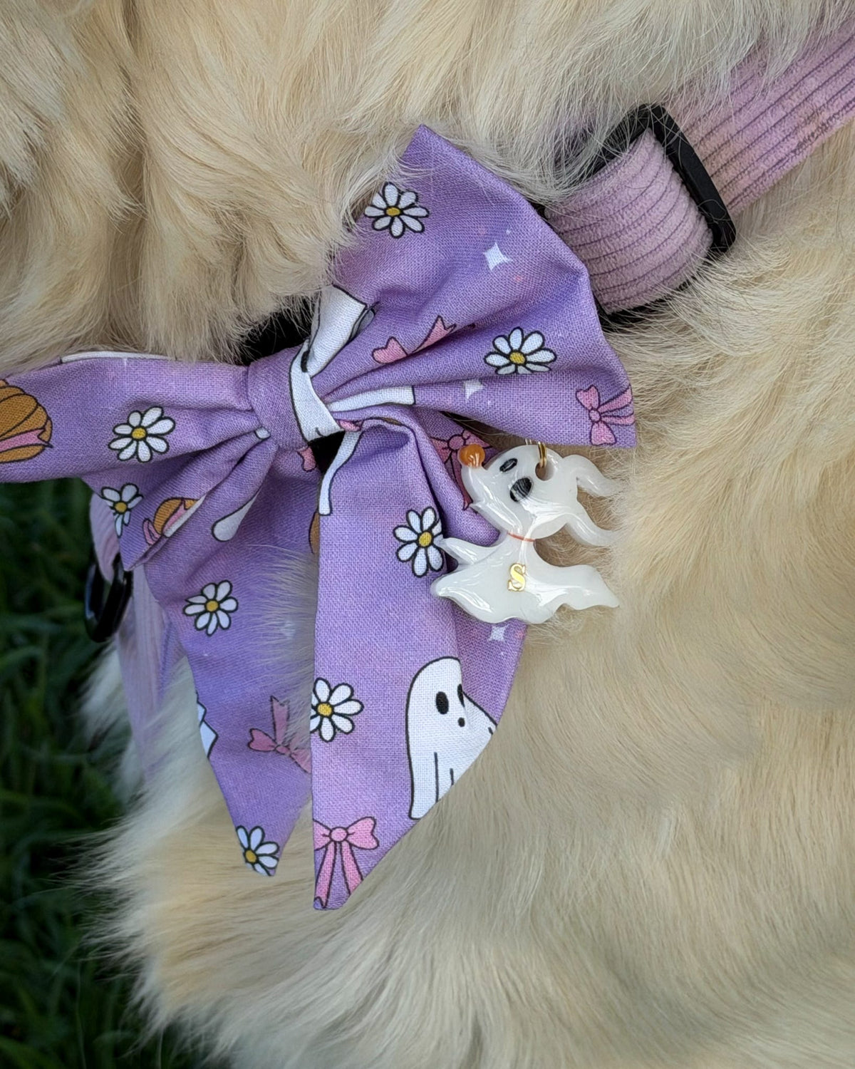 Boo & Bones