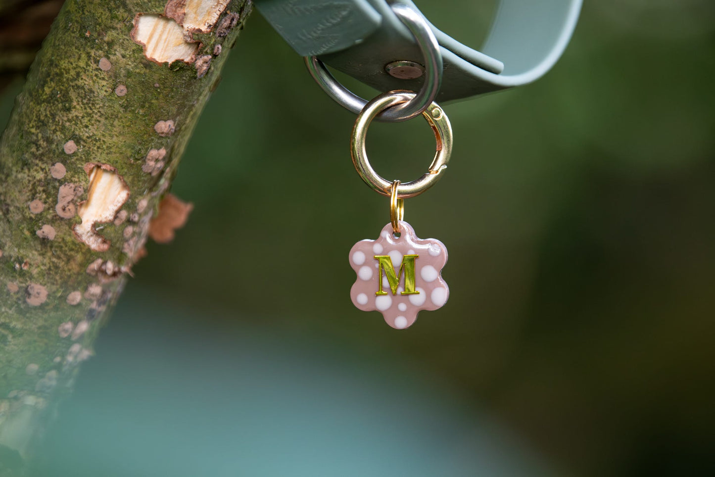 Mini Dotty Bloom