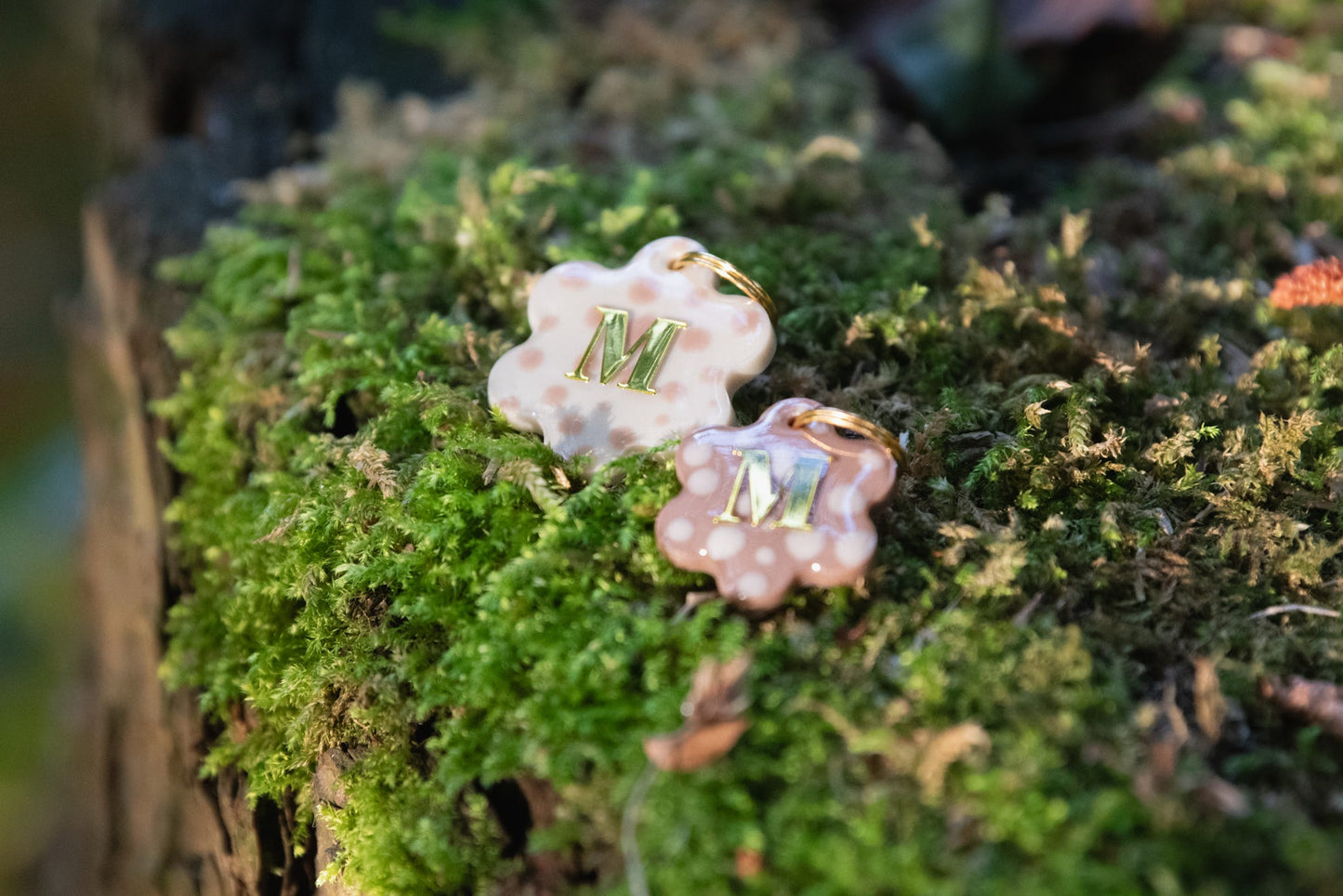 Dotty Bloom