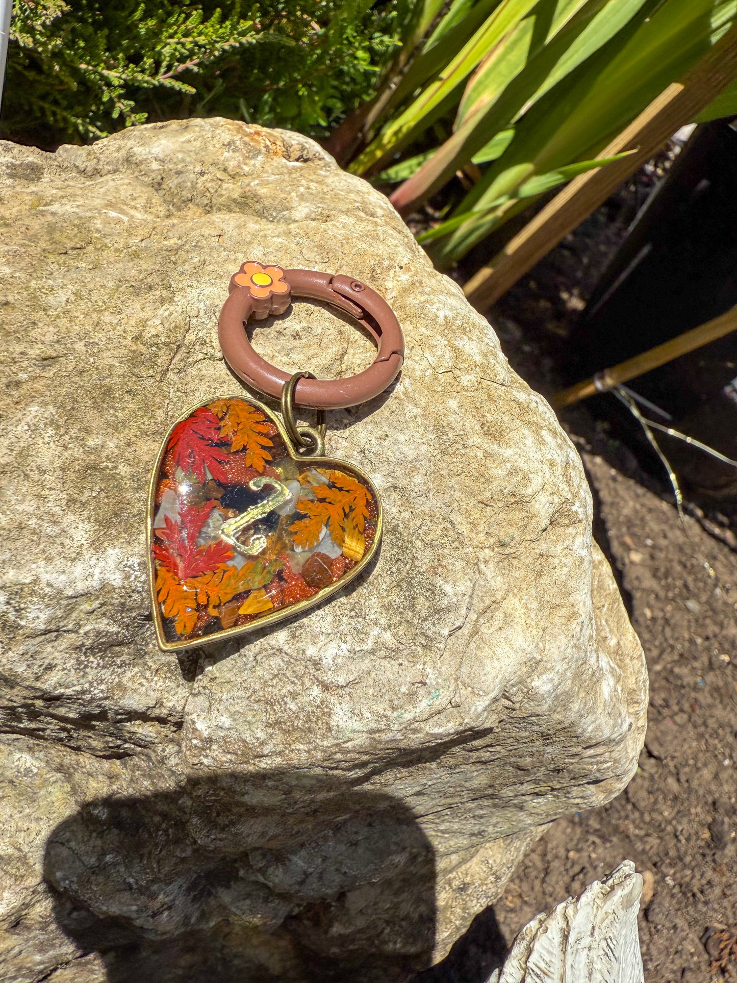 Hearts Of The Forest