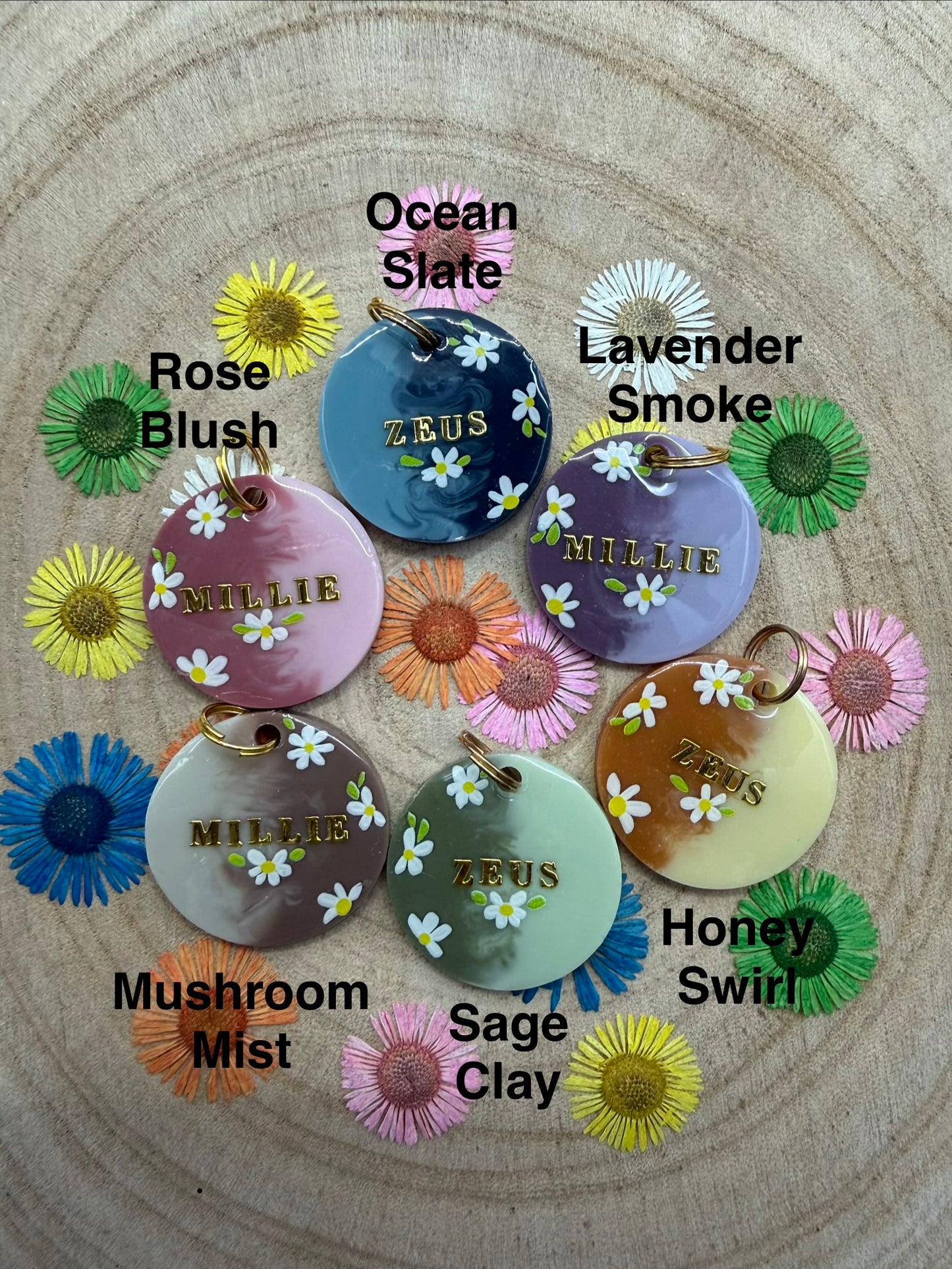 Heirloom Daisies