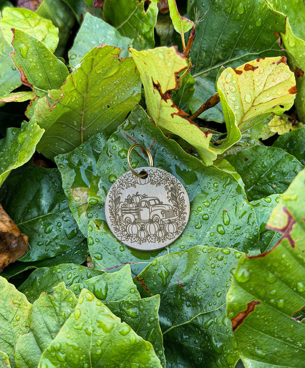 Pick Of The Patch