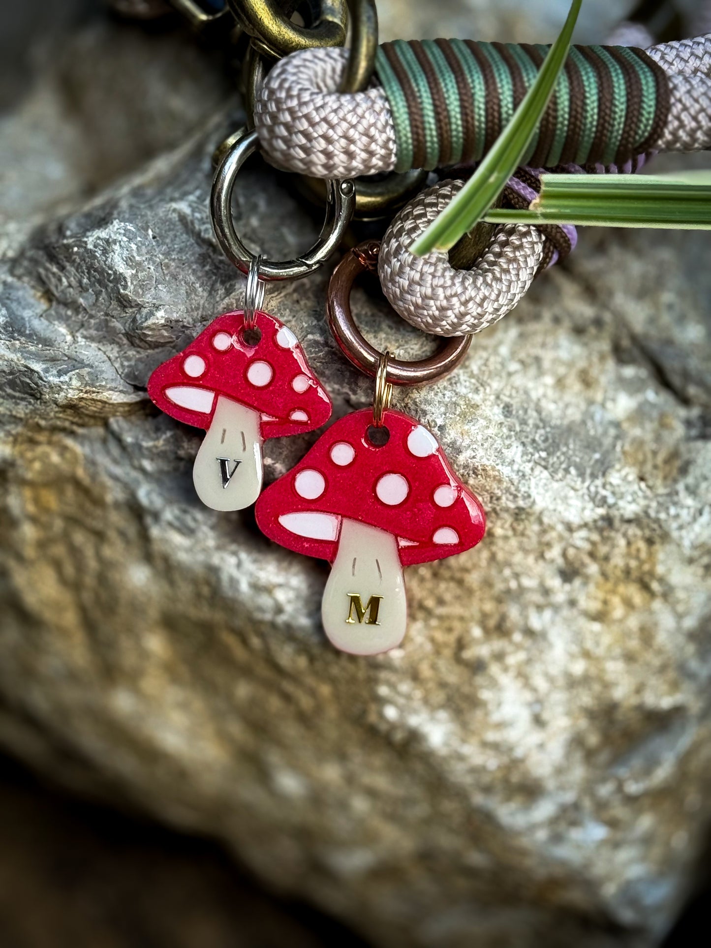 Toadstool Tales