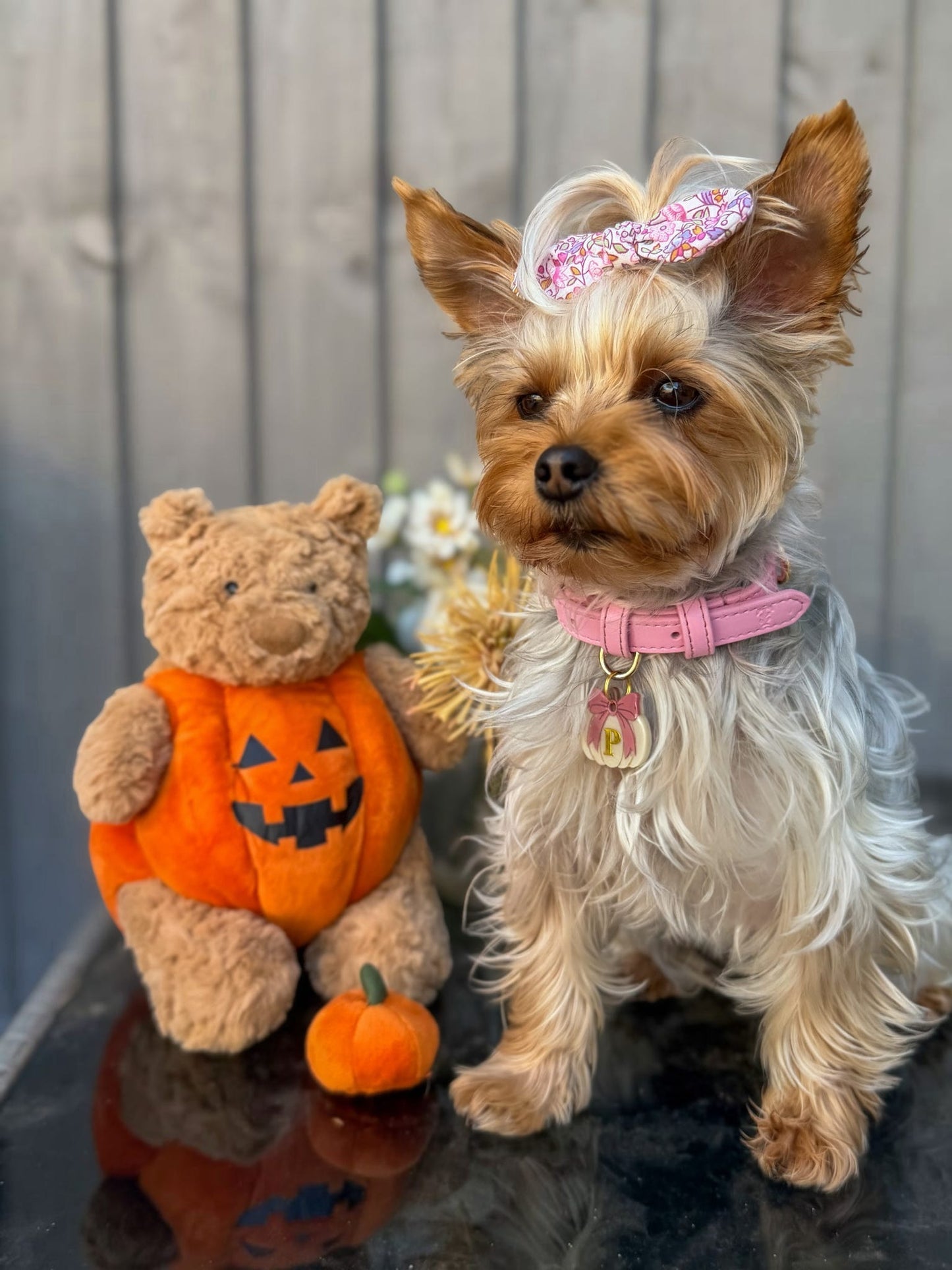 Bow & Spice