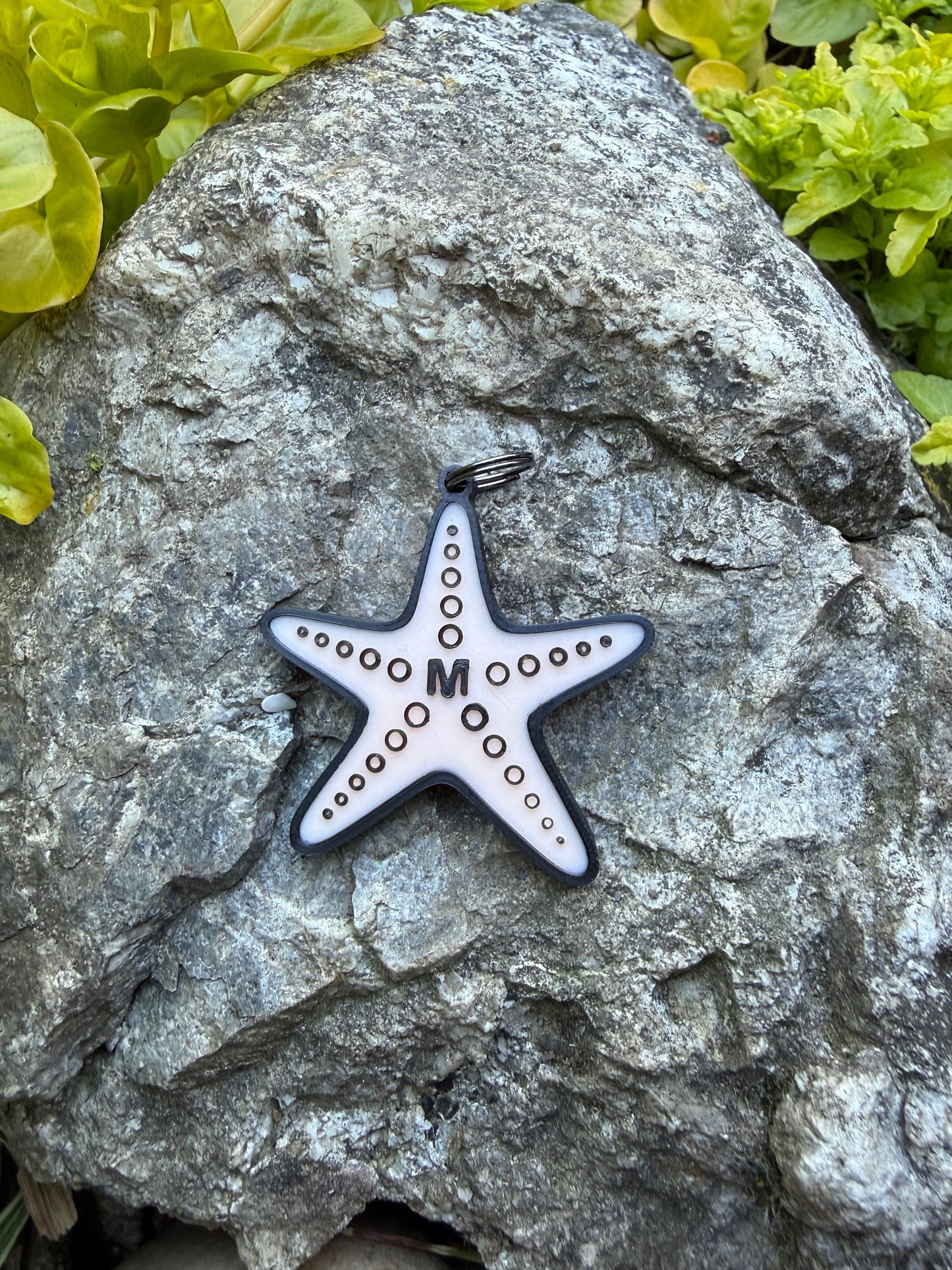 Starfish