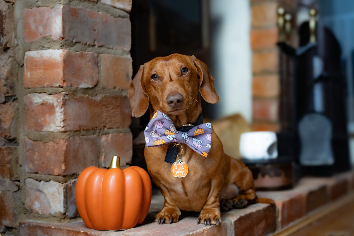 Pumpkin Fest