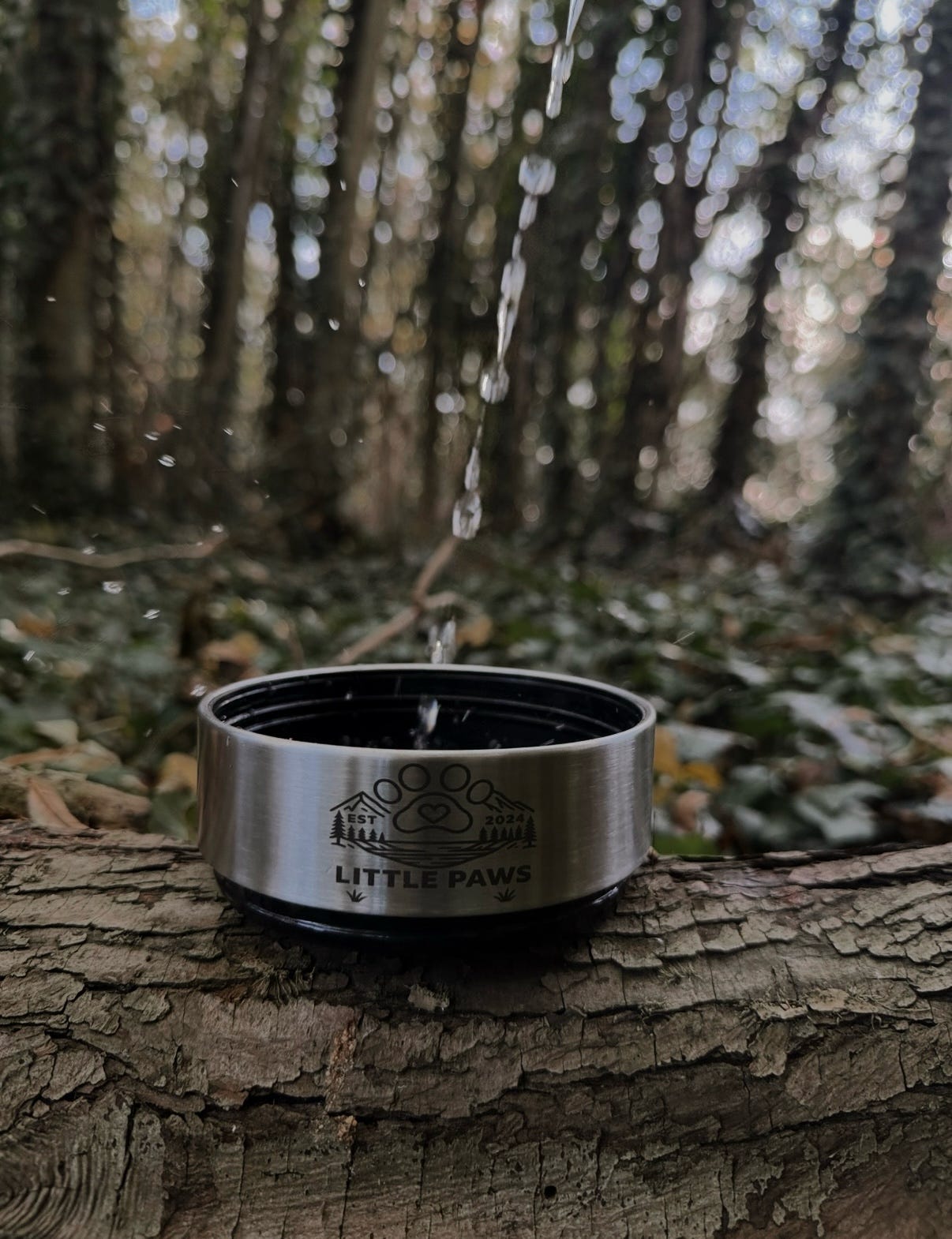 Adventure Awaits 3 in 1 Bottle