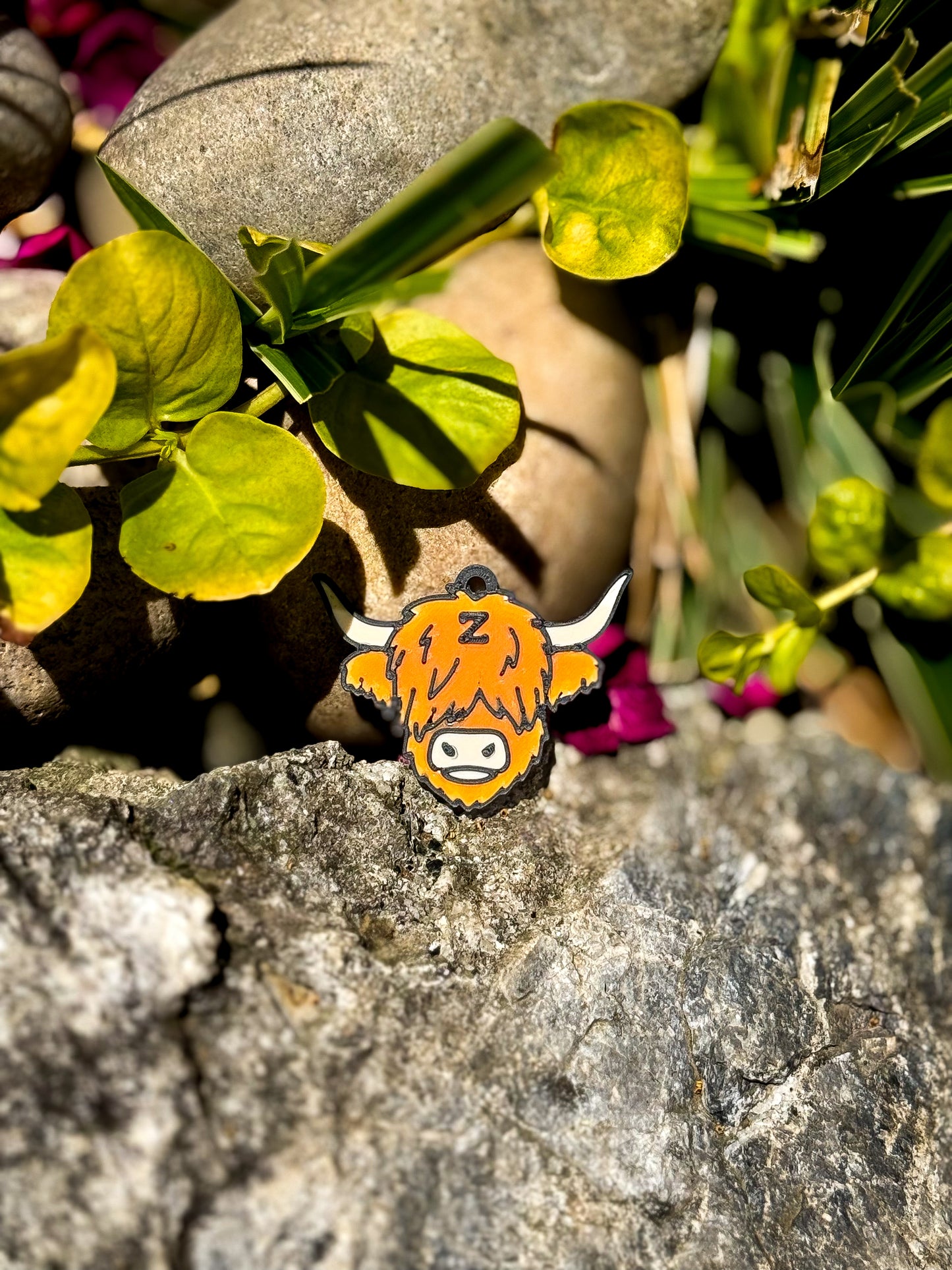 Highland Cow Face