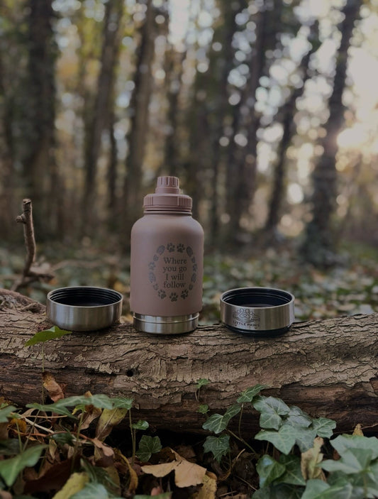 Adventure Awaits 3 in 1 Bottle