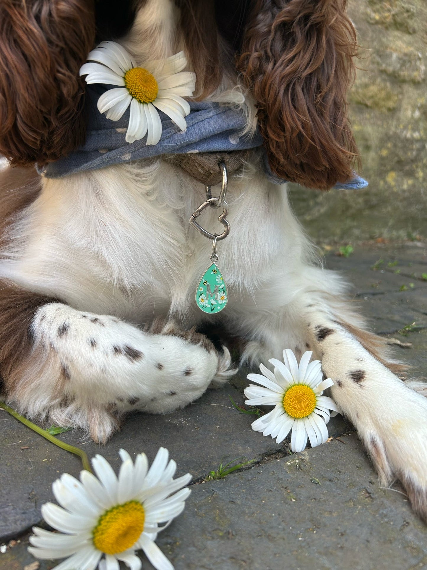 Bumbles & Daisies