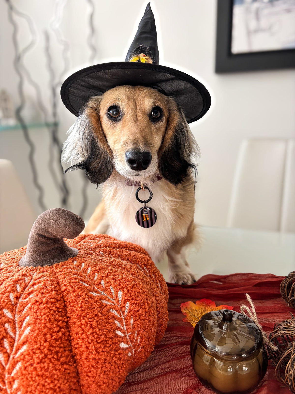 Stripe & Fright