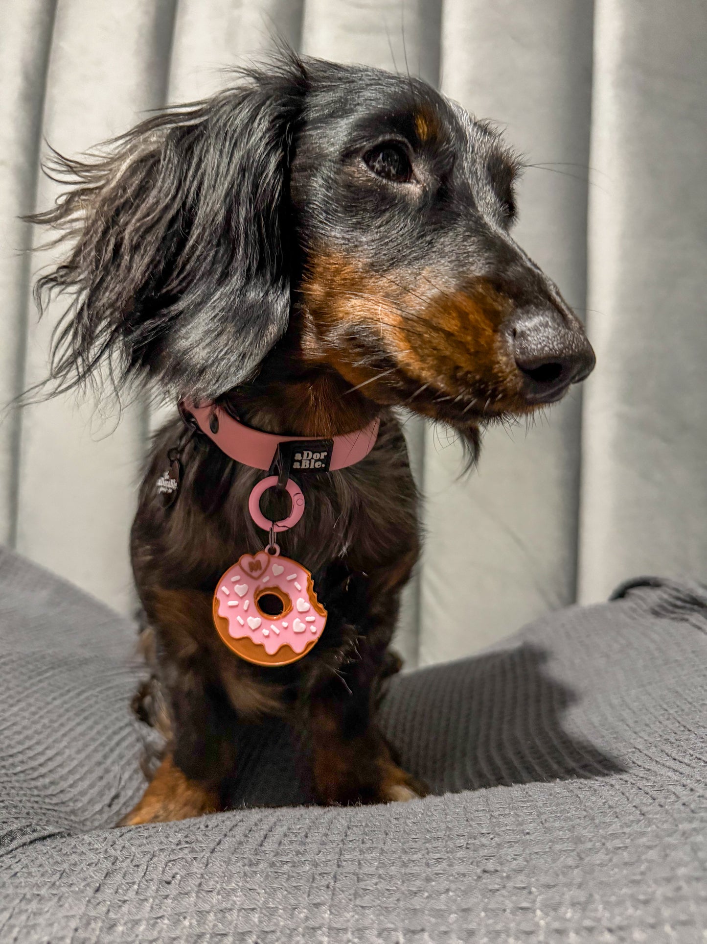 Love At First Bite