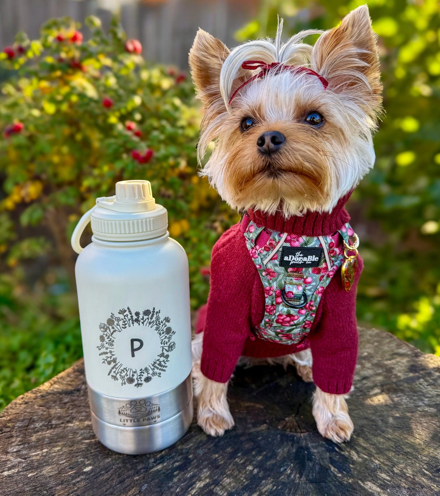 Adventure Awaits 3 in 1 Bottle