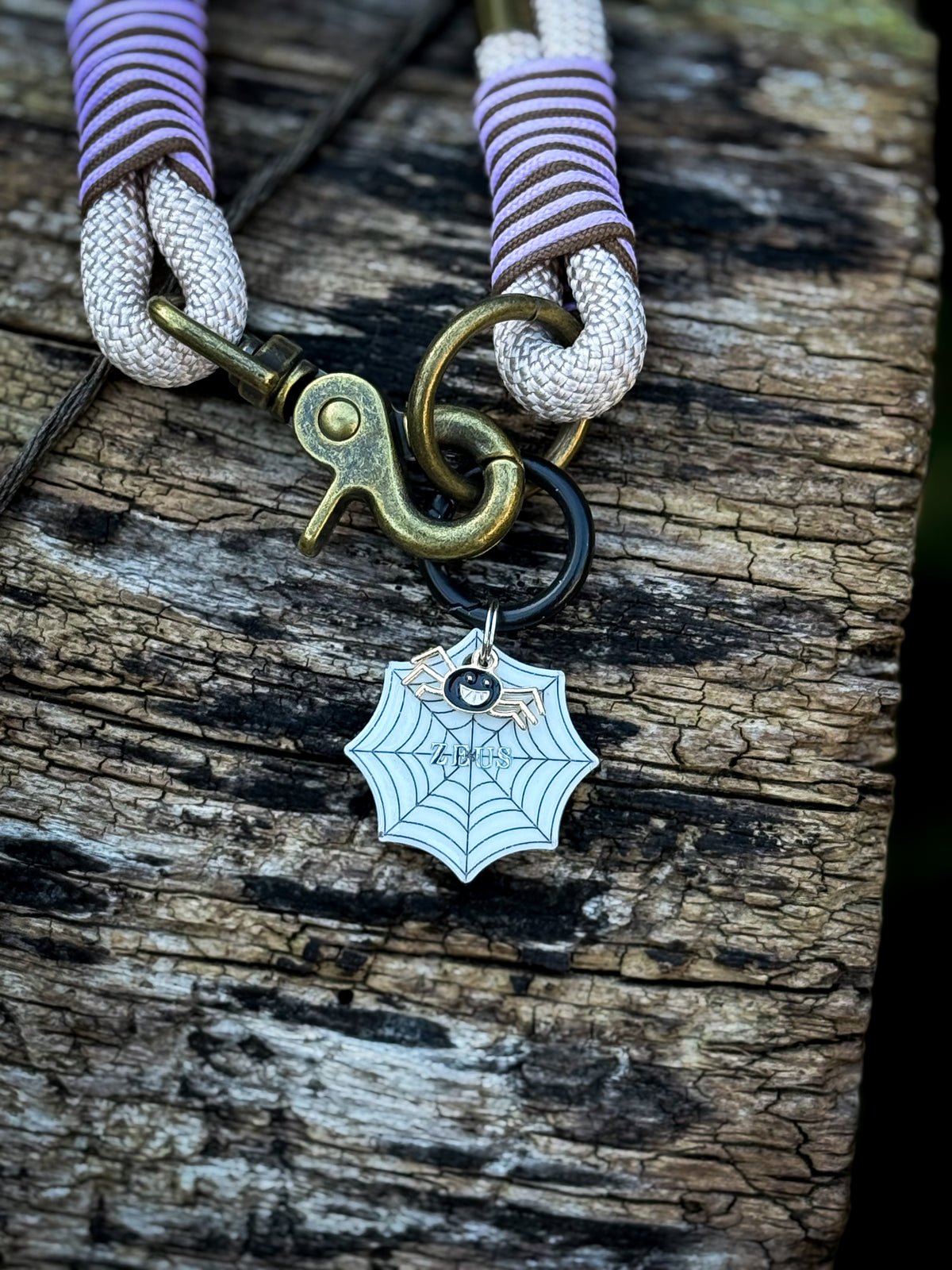 Spiders Spell