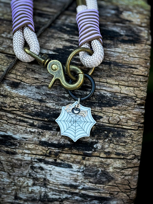Spiders Spell