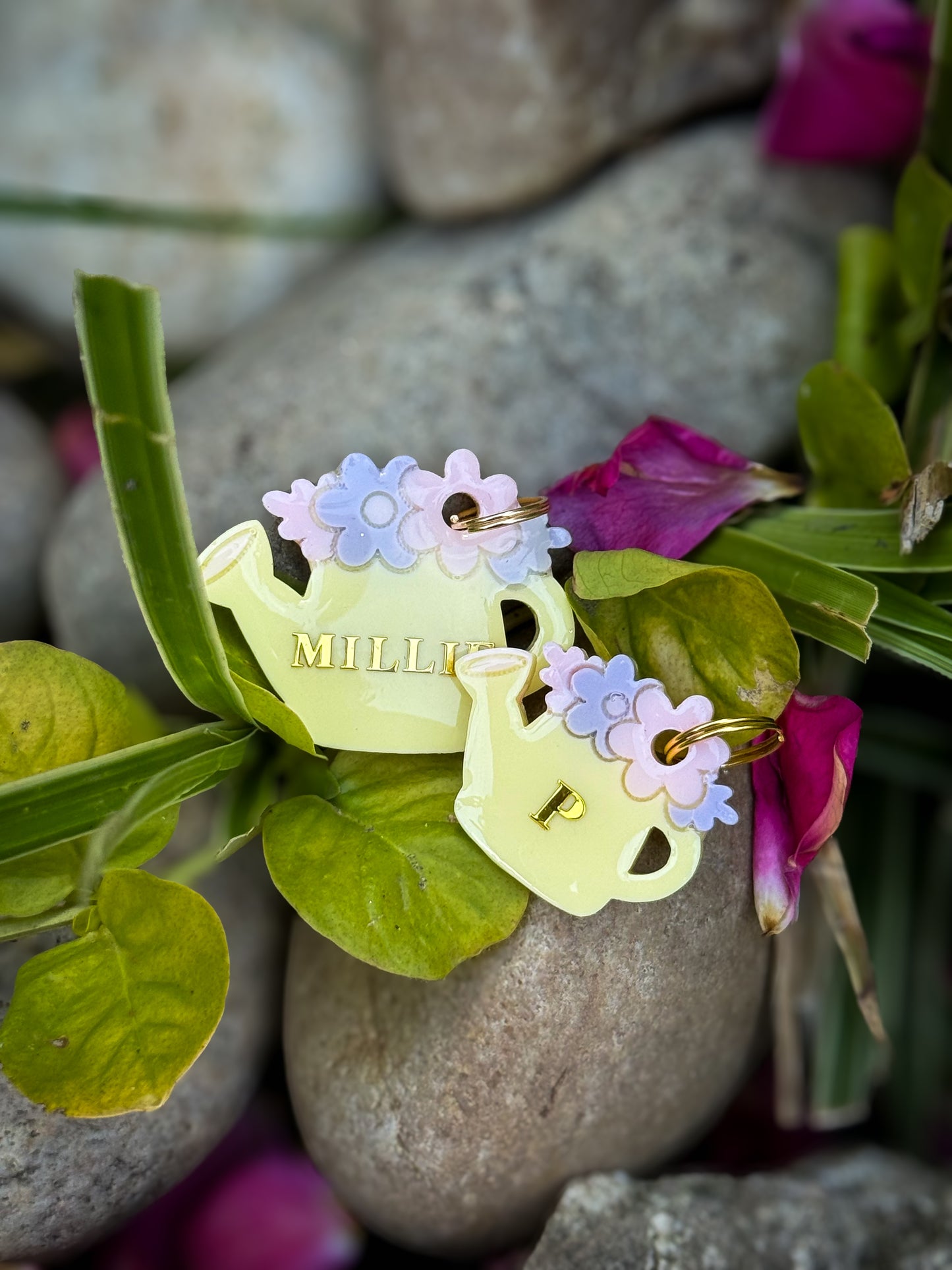 Bloom Wildly
