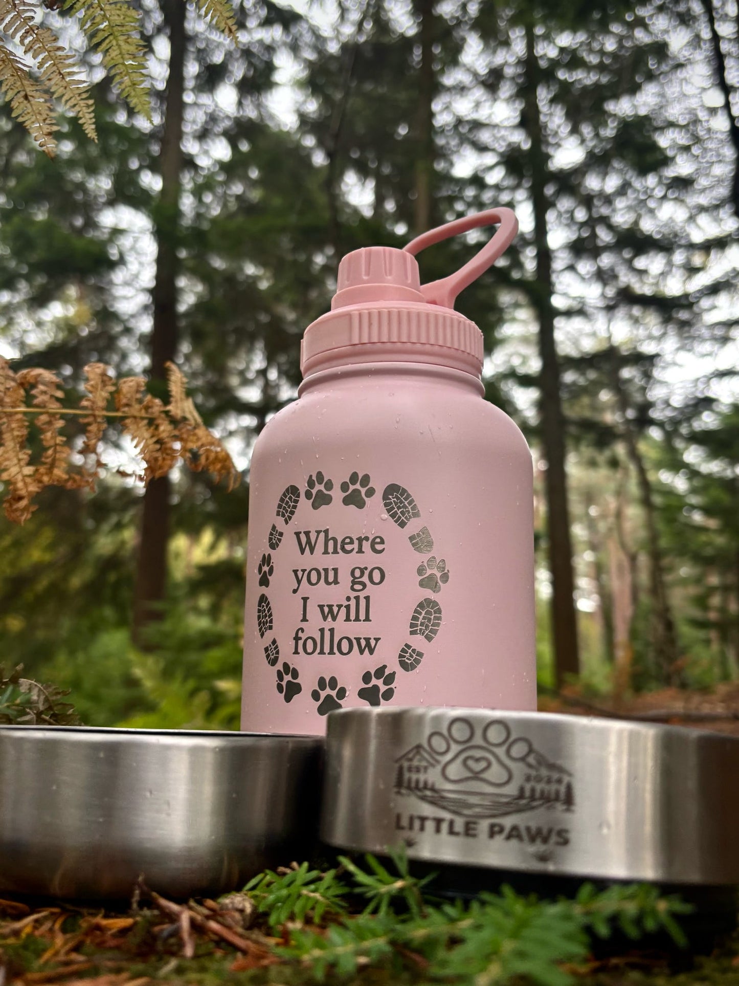 Adventure Awaits 3 in 1 Bottle