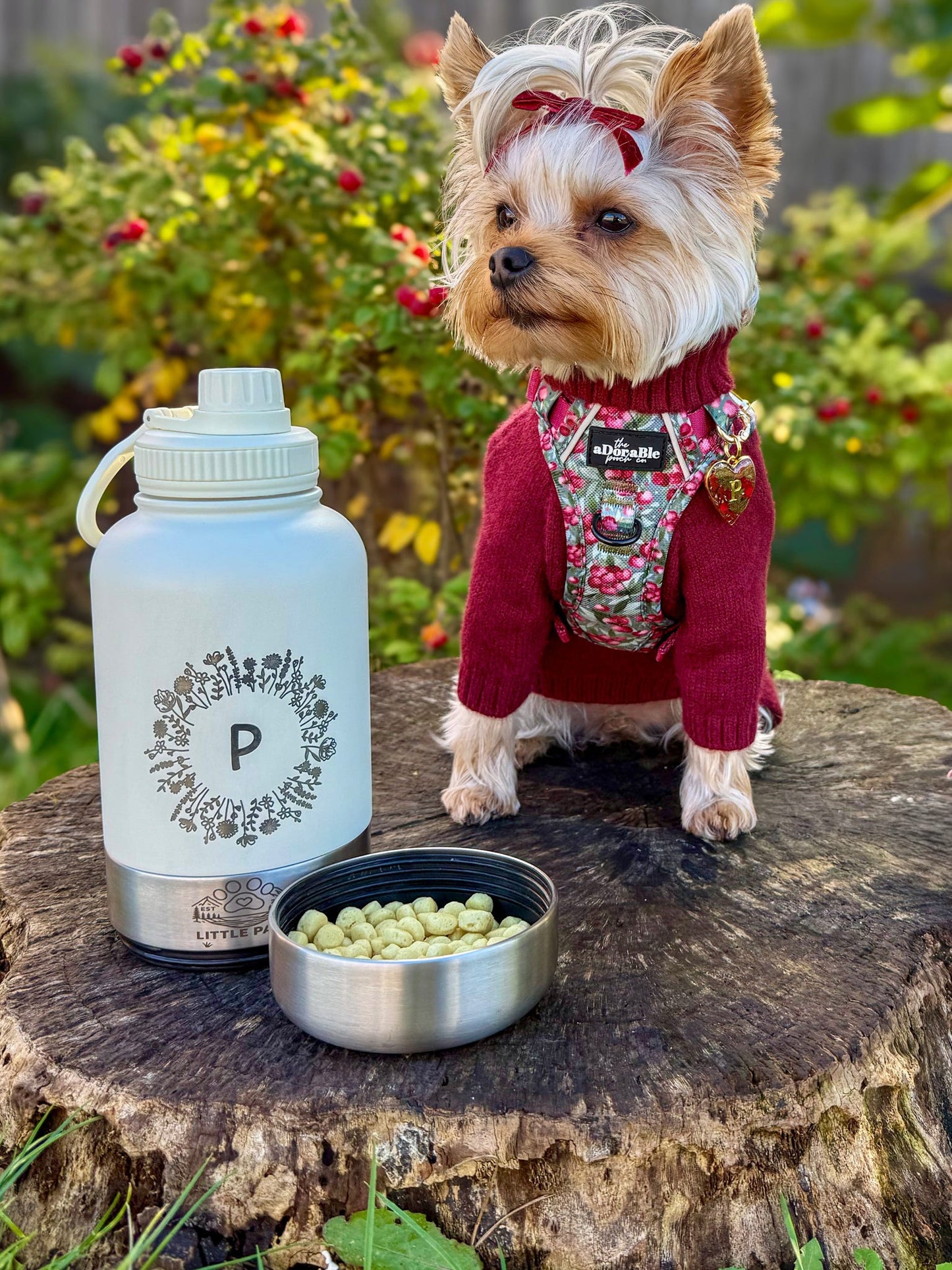 Adventure Awaits 3 in 1 Bottle