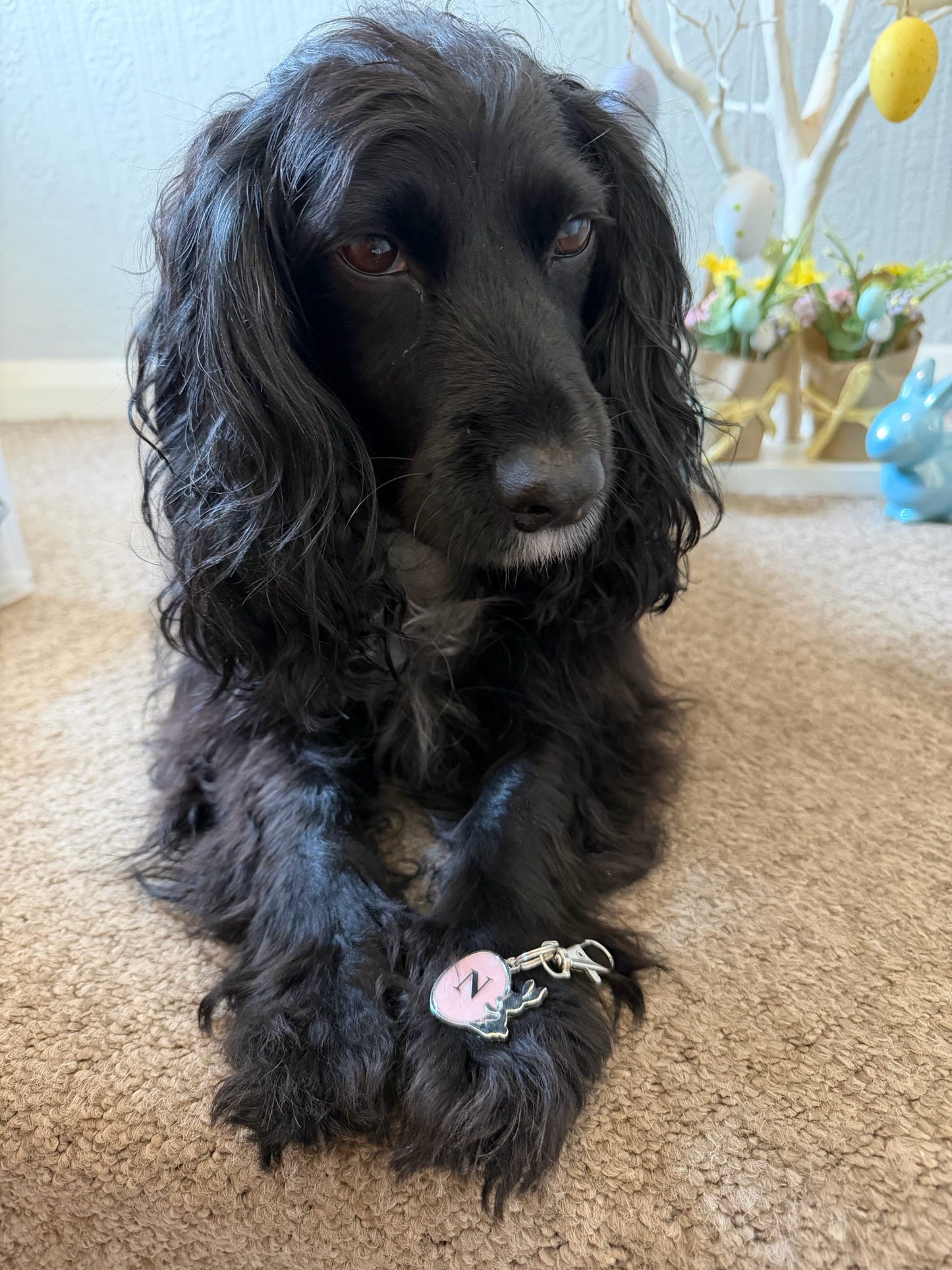 Easter Surprise