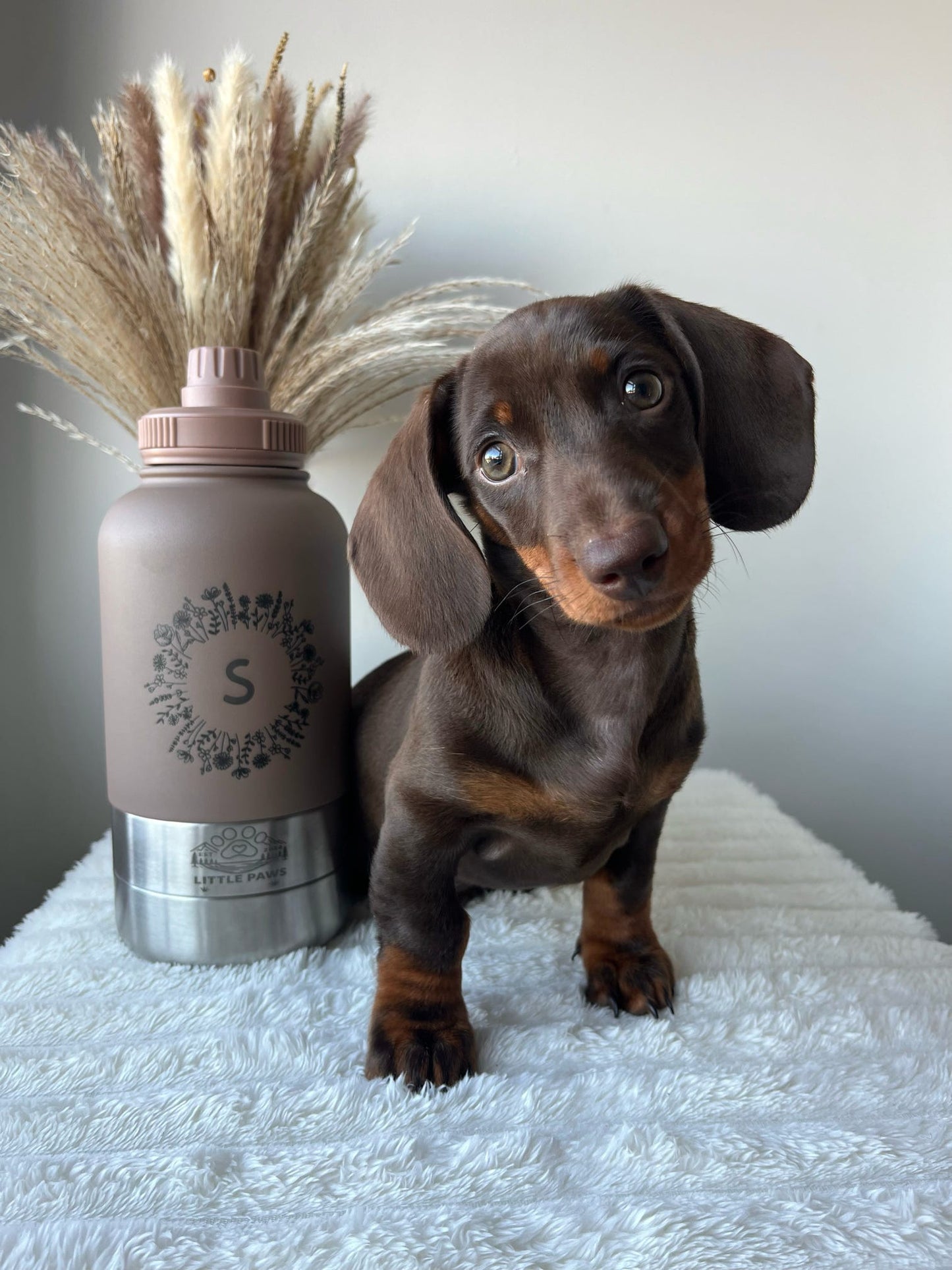 Adventure Awaits 3 in 1 Bottle