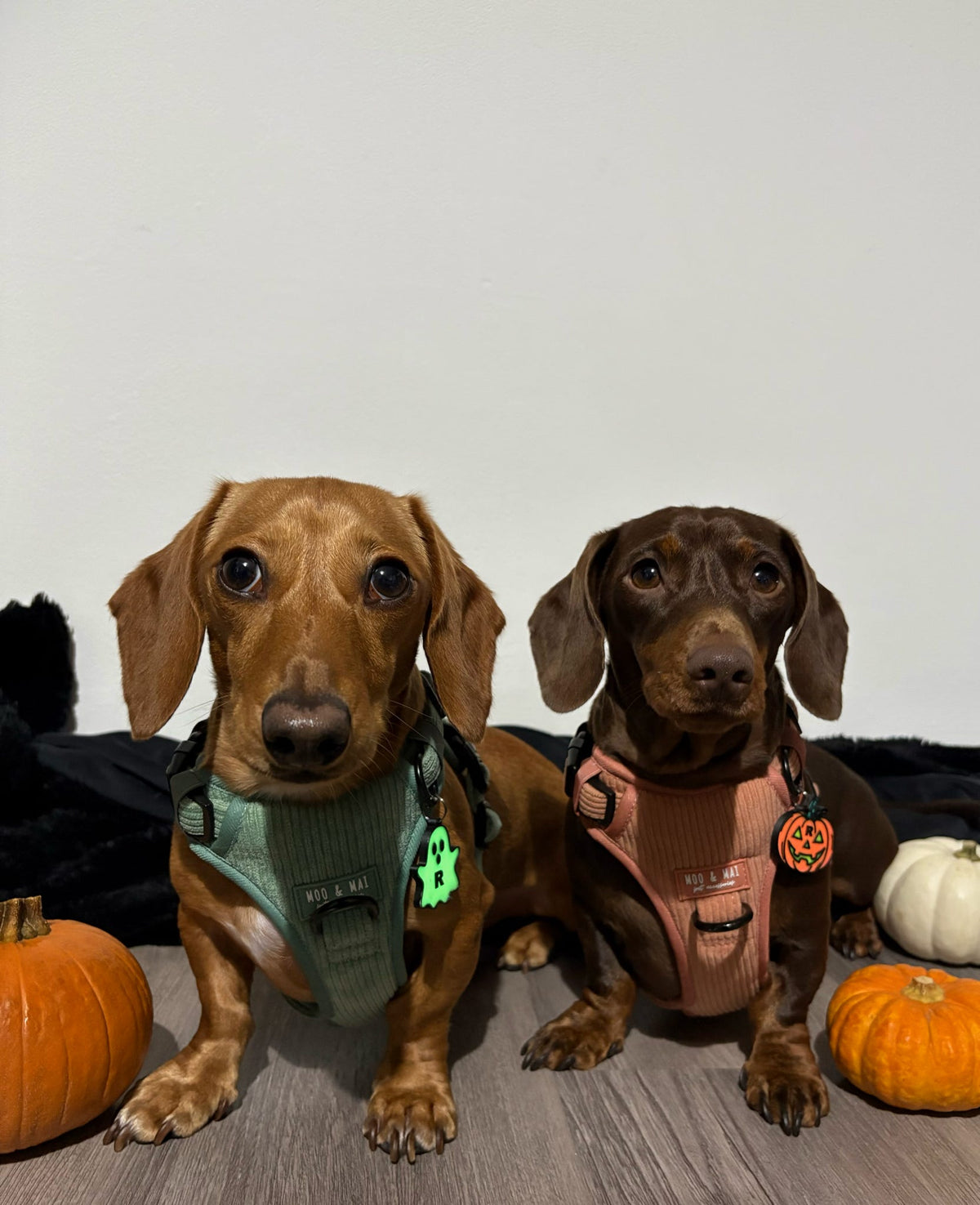 Spooky Pumpkin
