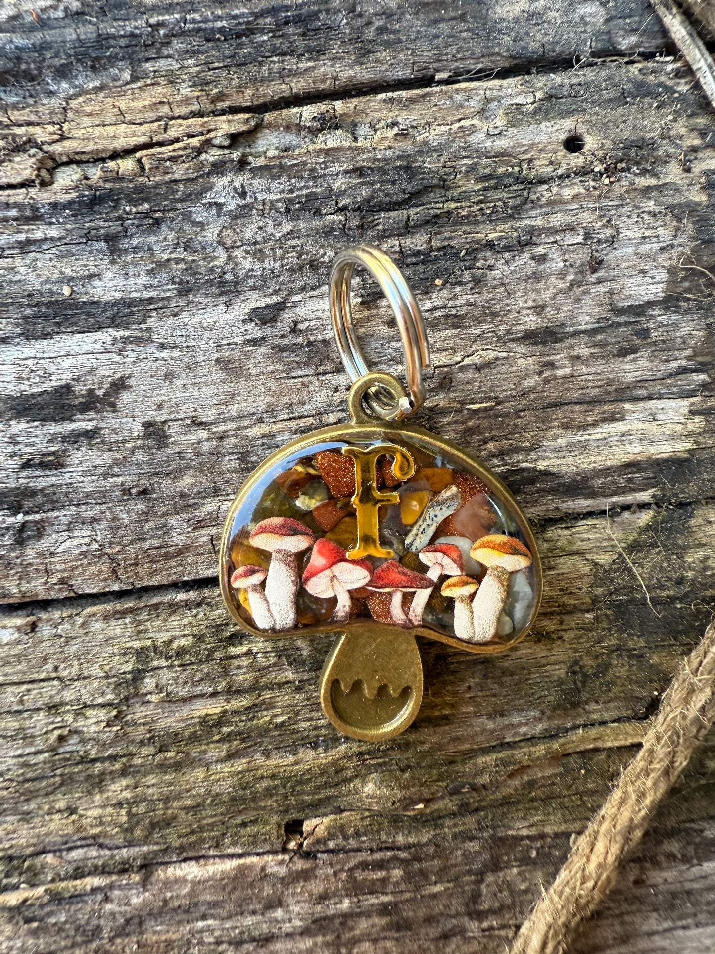 Toadstool Treasure (Resin Tag)