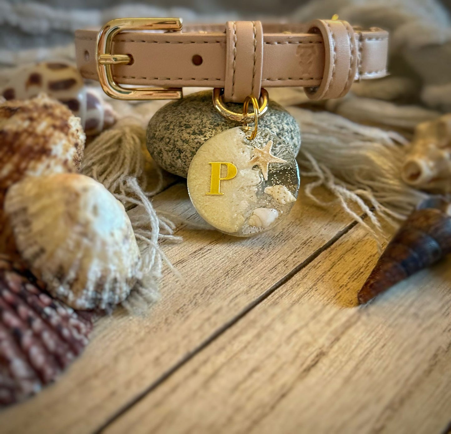Seashell Shimmer