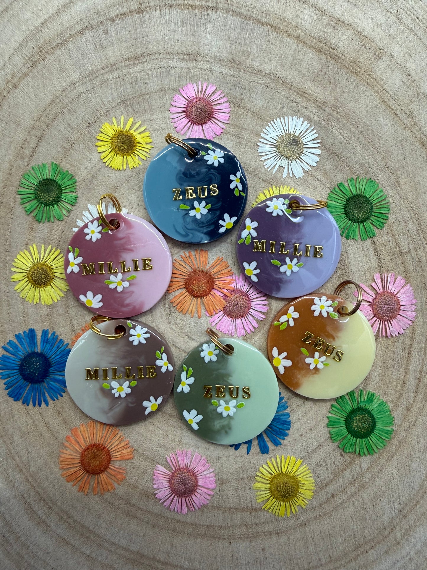 Heirloom Daisies