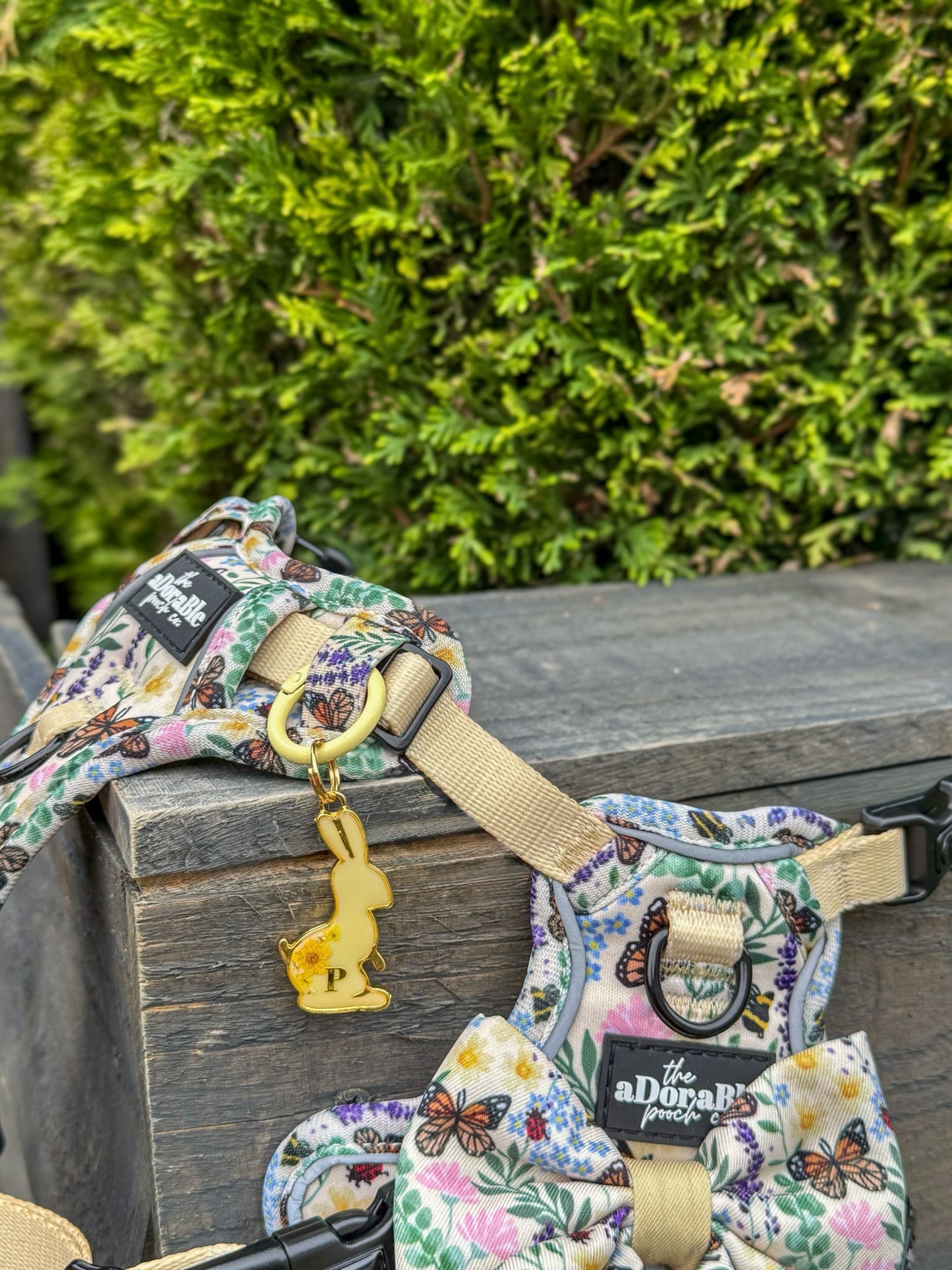 Floral Bunnies