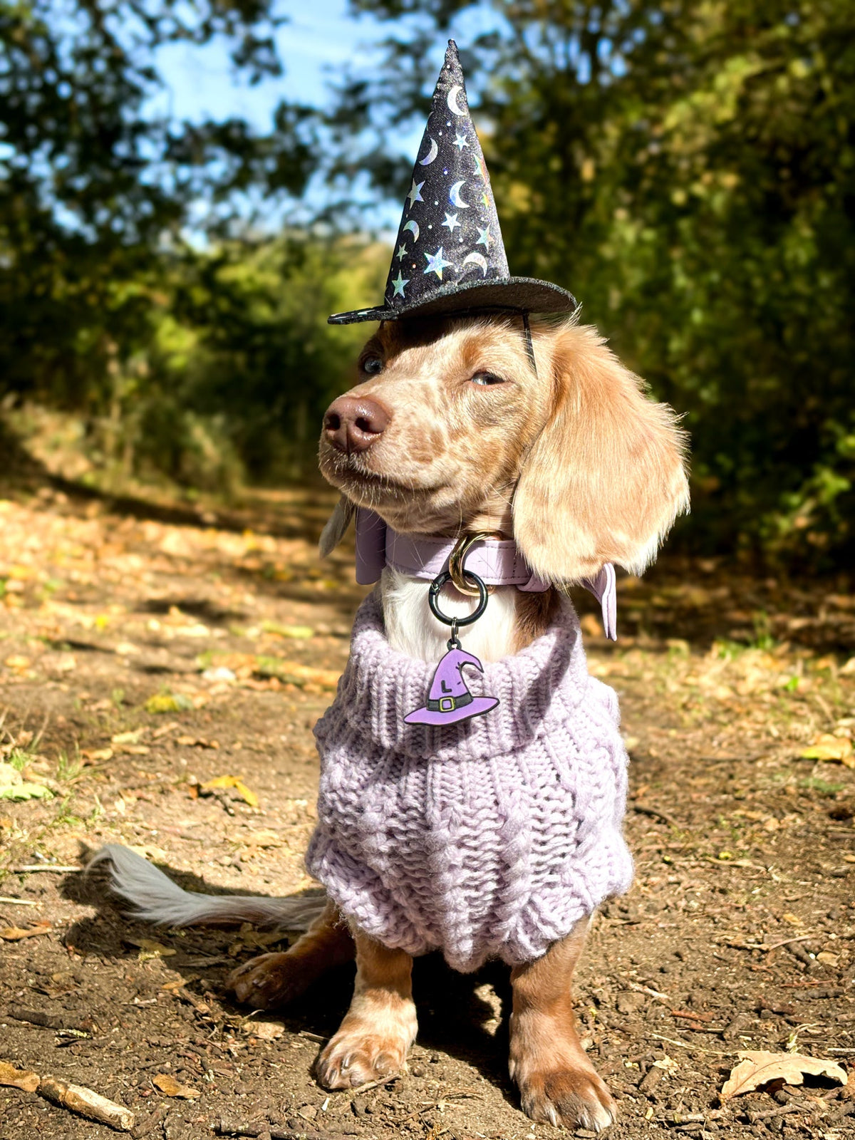 Hat Of Spells