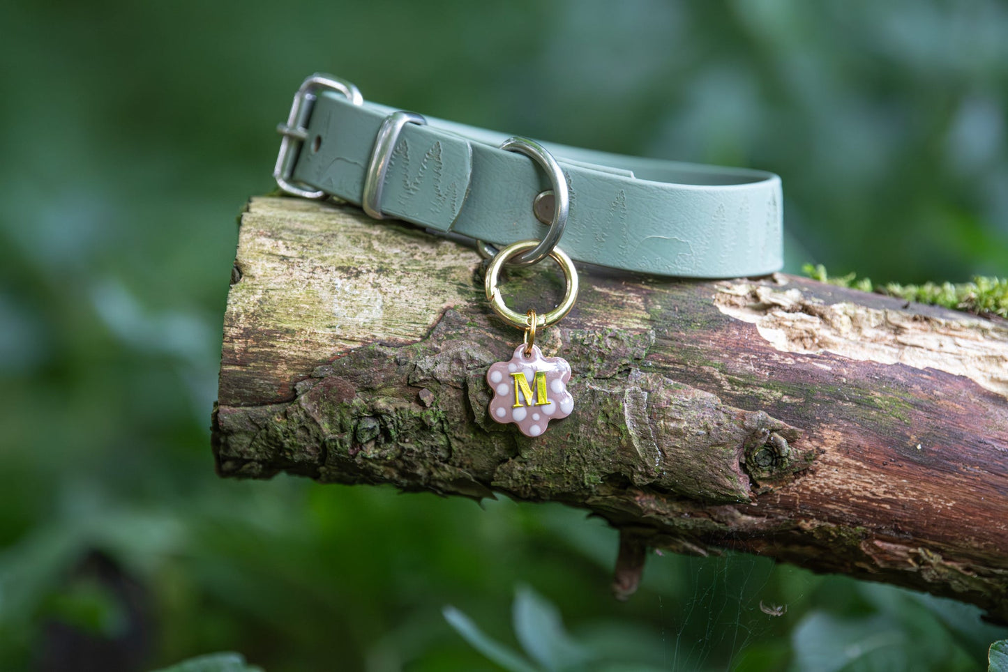 Mini Dotty Bloom