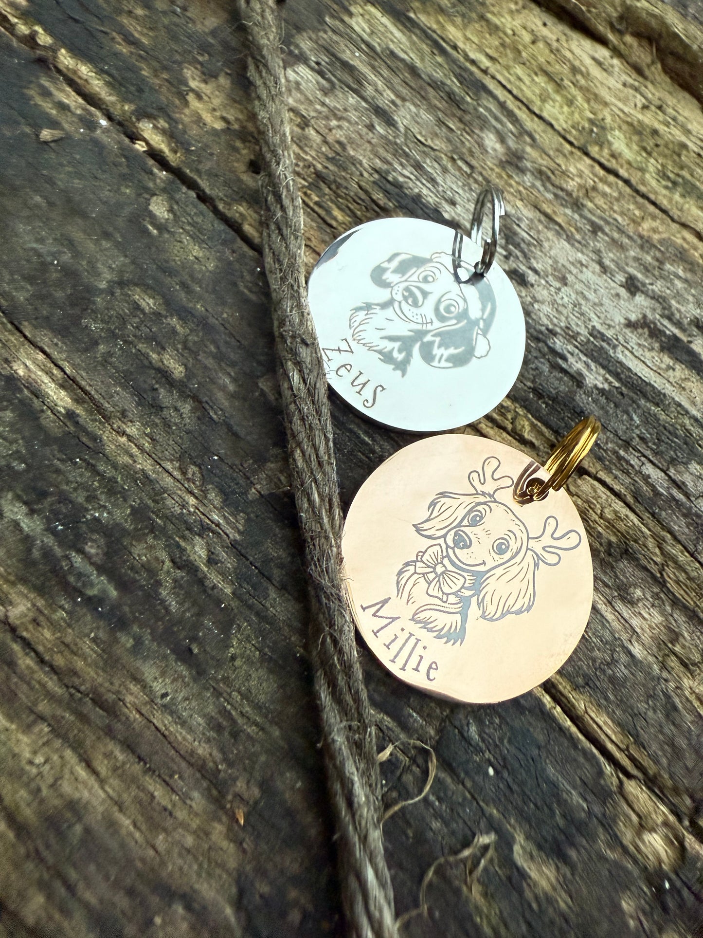 Pawfect Pawtrait - Custom Portrait Tag