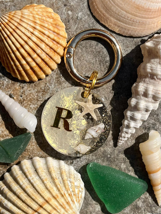 Seashell Shimmer