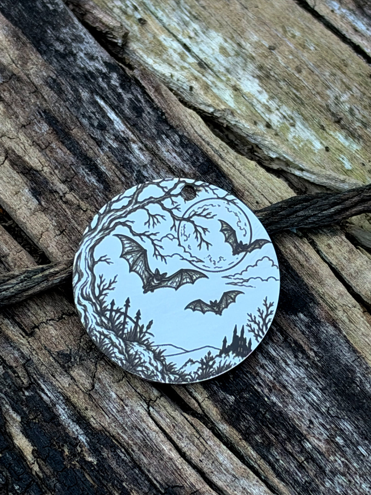 Moonlit Wings